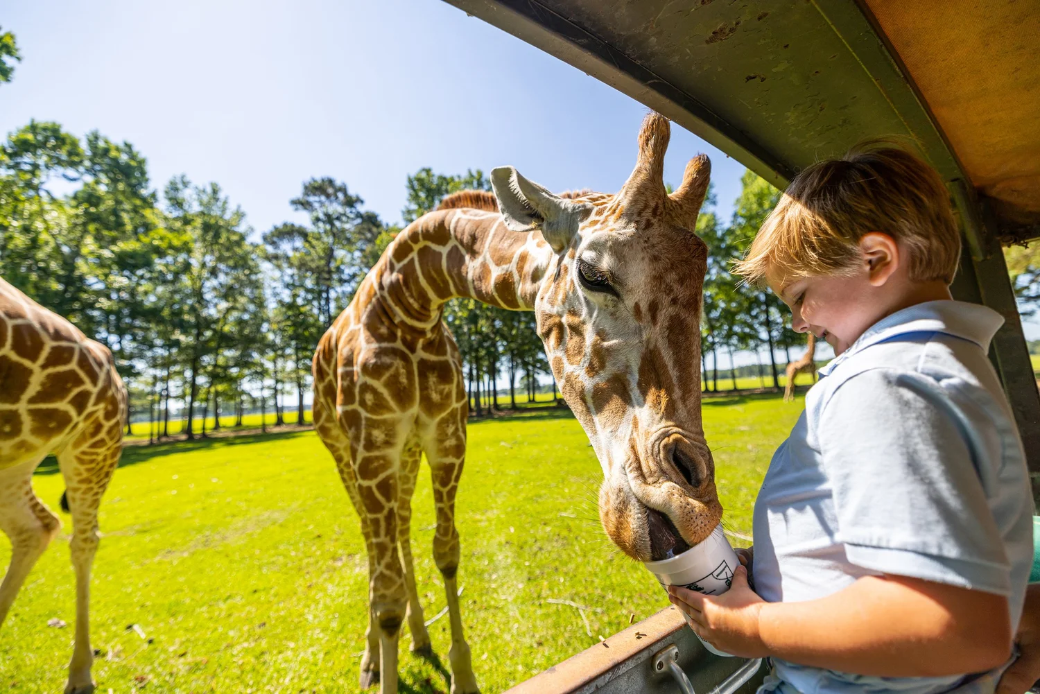 Global Wildlife Center, Louisiana Tourism, photo by LeClair Media