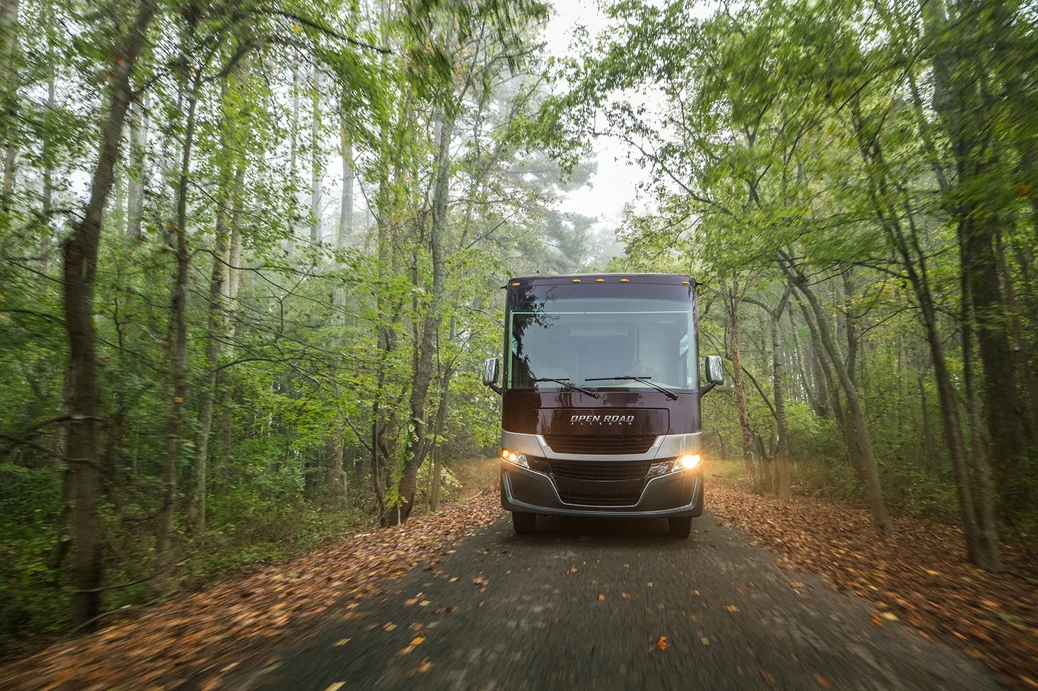 A black recreational vehicle (RV) driving on a narrow forest road surrounded by green trees with some fallen leaves on the ground.