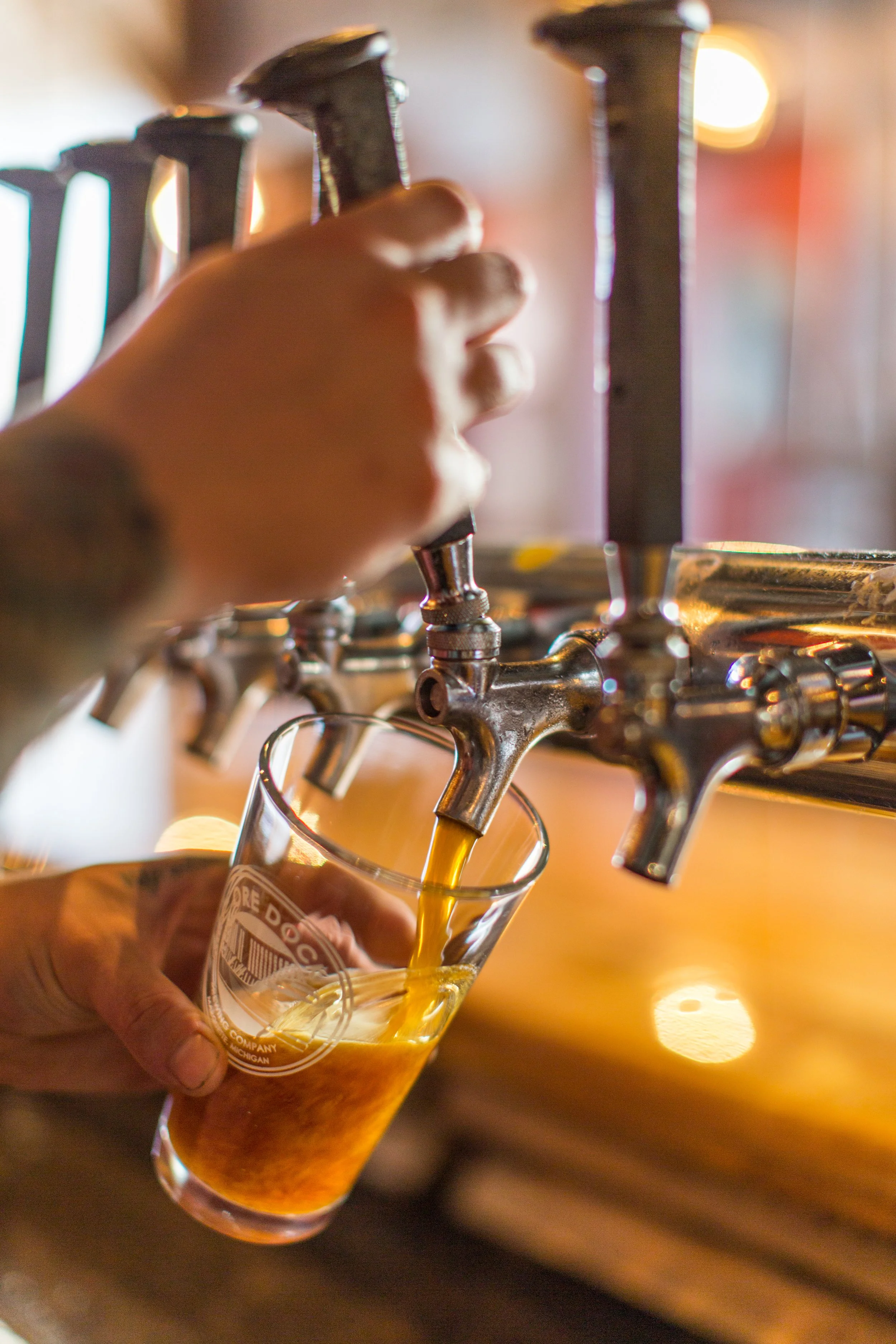 Six Pointer 2018_0012.jpg