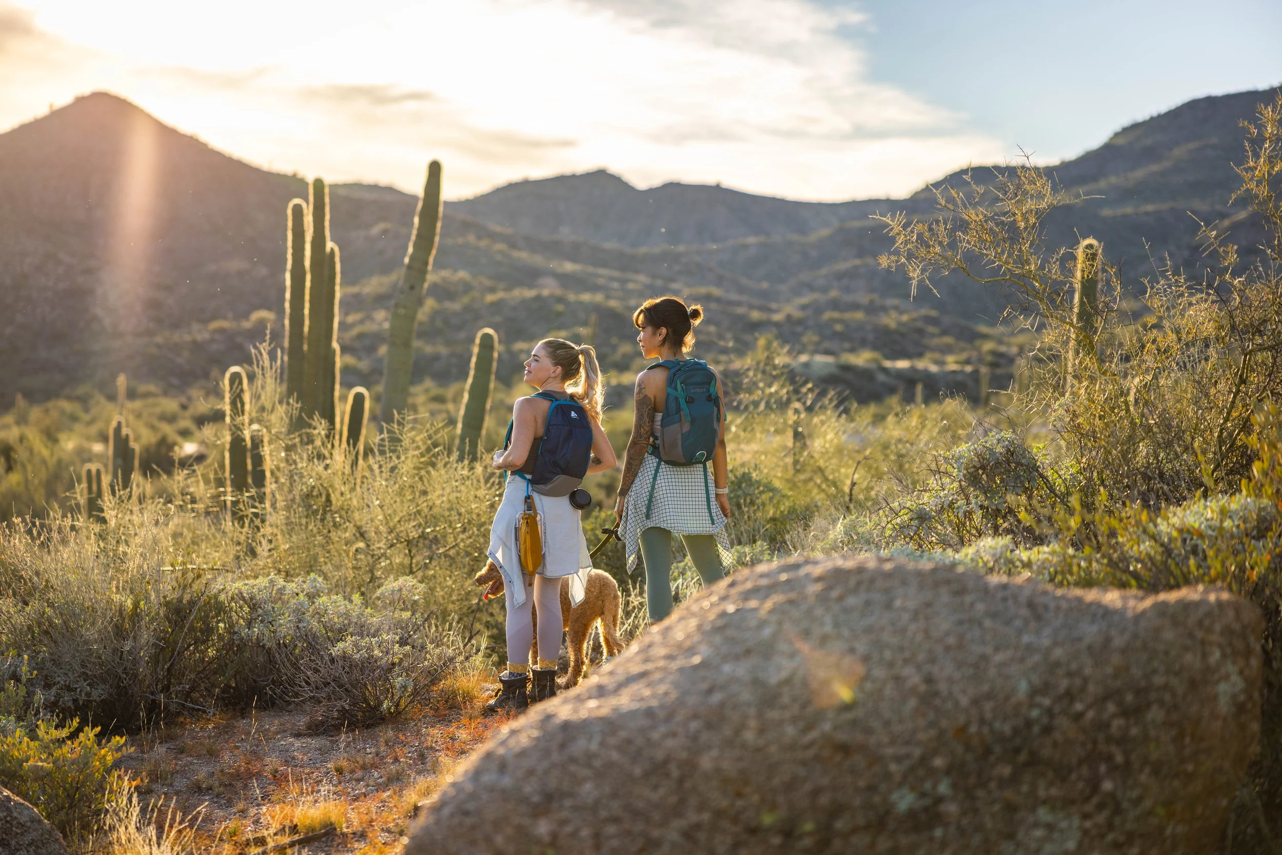 Two women hiking in a desert landscape with cacti, mountains, and a setting sun, one with a dog.
