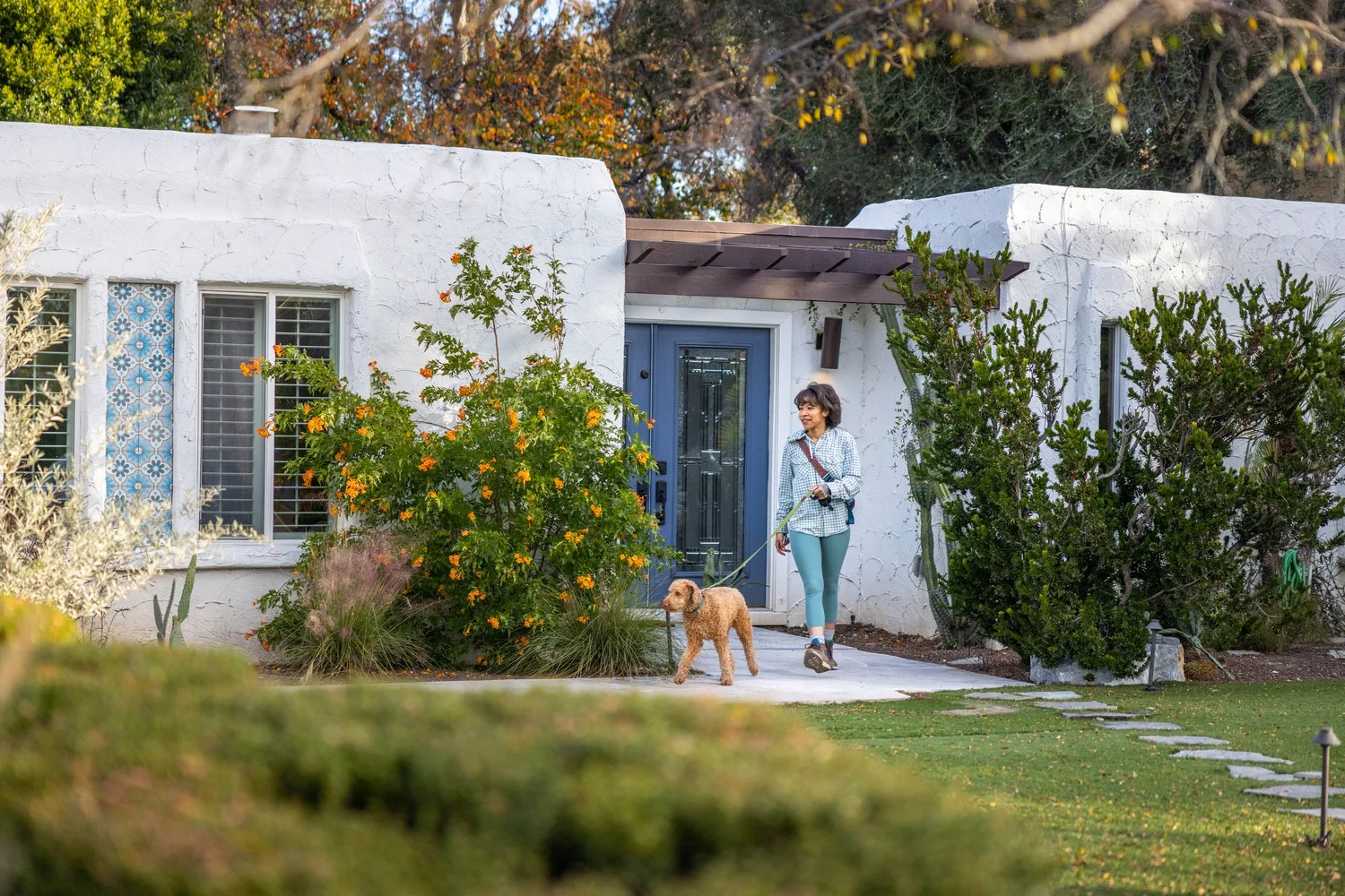 A woman walking her dog on a concrete pathway in front of a white house with a blue door surrounded by greenery and flowering bushes.