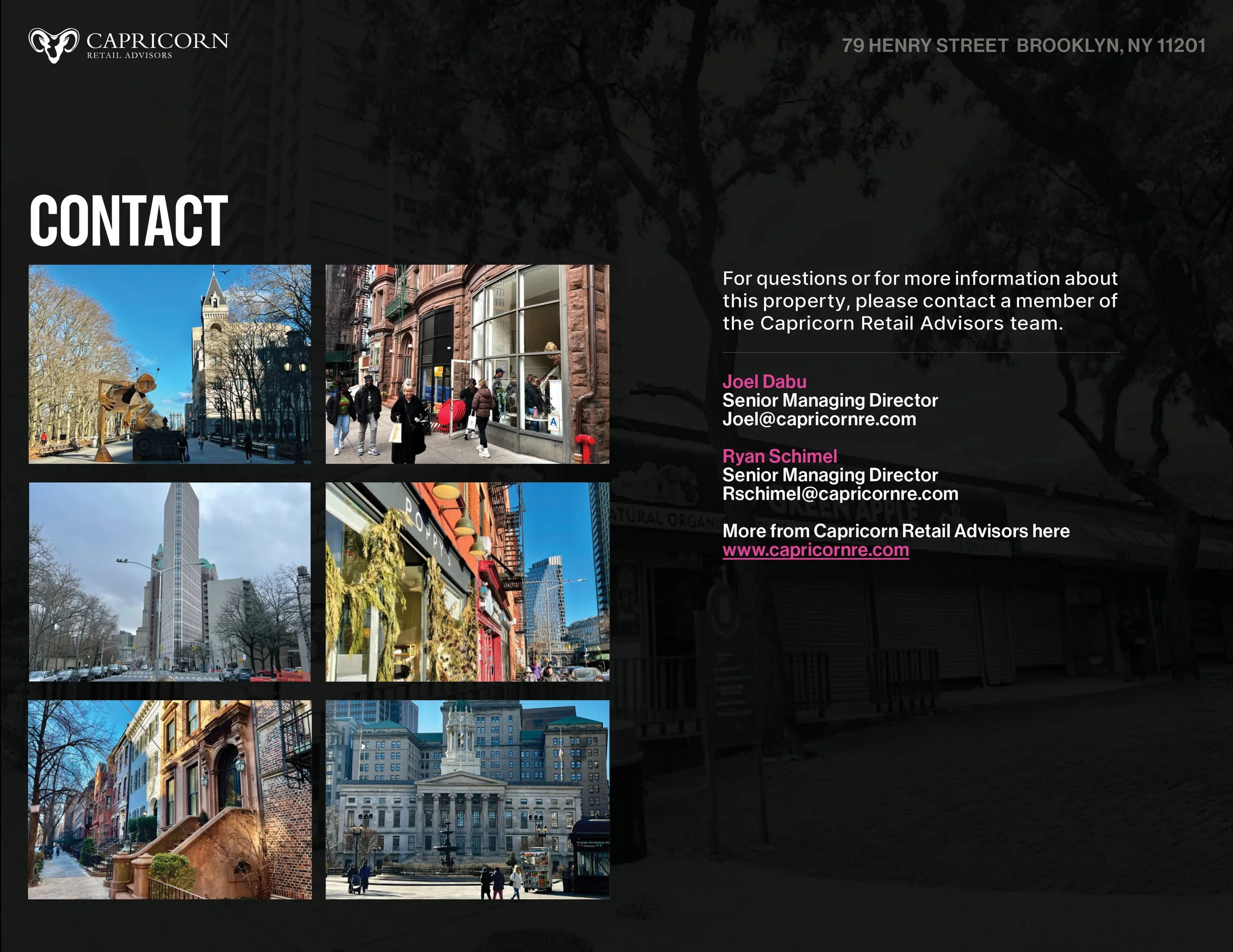 79 Henry Street5.jpg