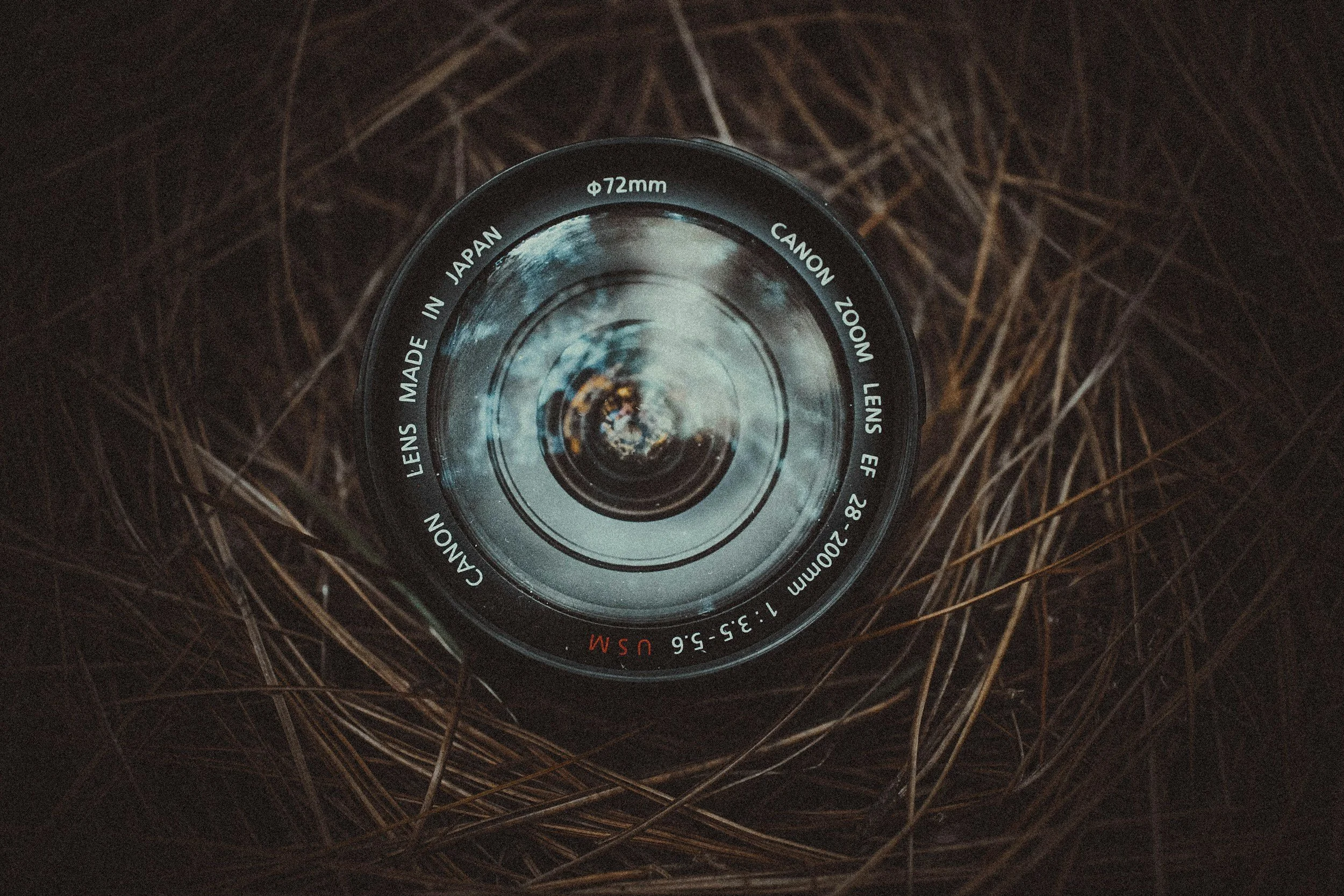 What is The Eye of Photography? A Guide for Developing Photographers