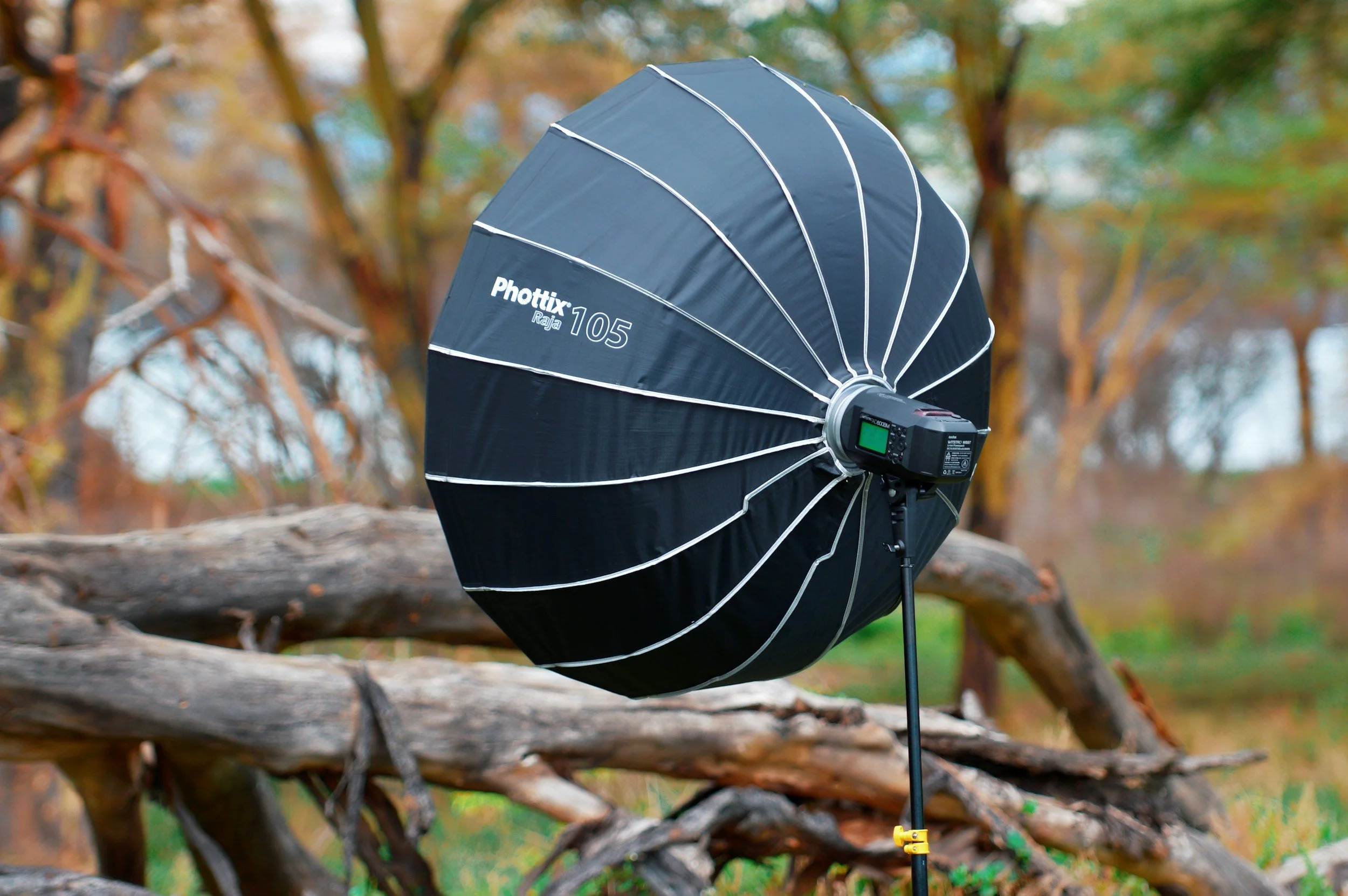 dramatic portraiture