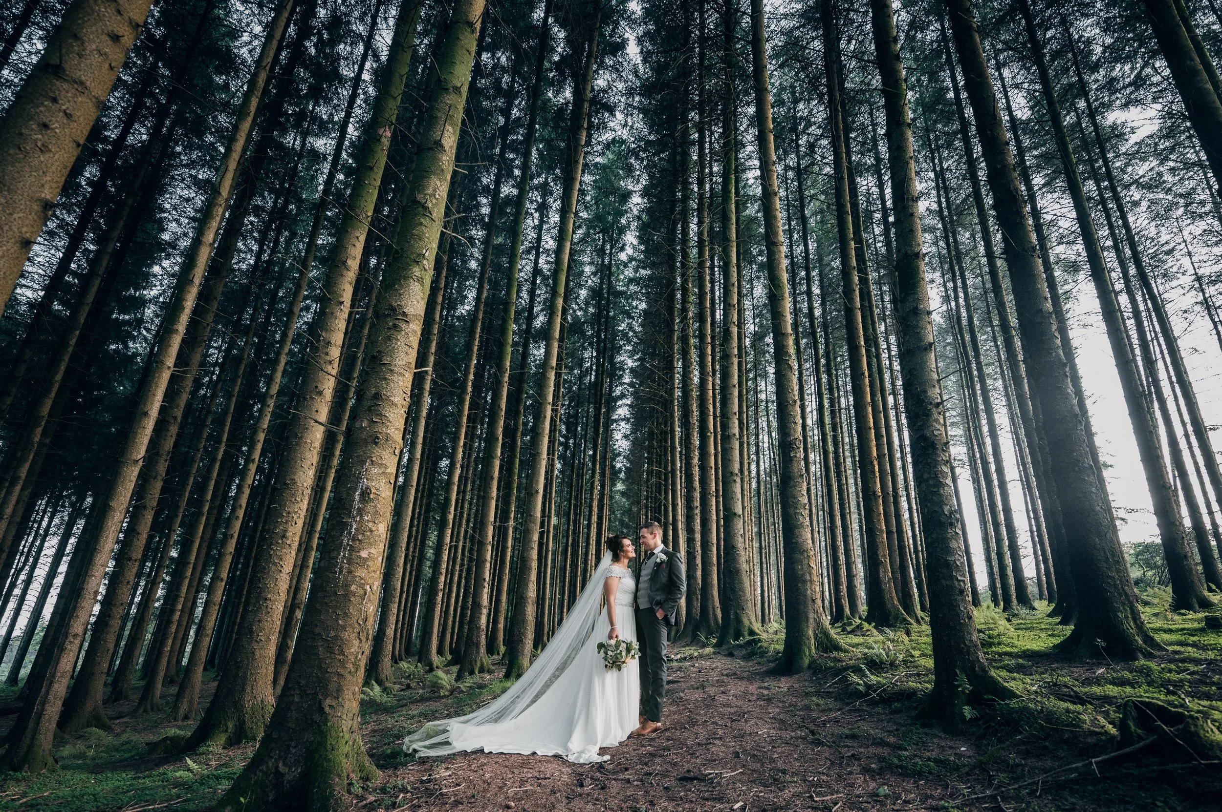 Photography Training Near Me: Finding Professional Excellence in 2026