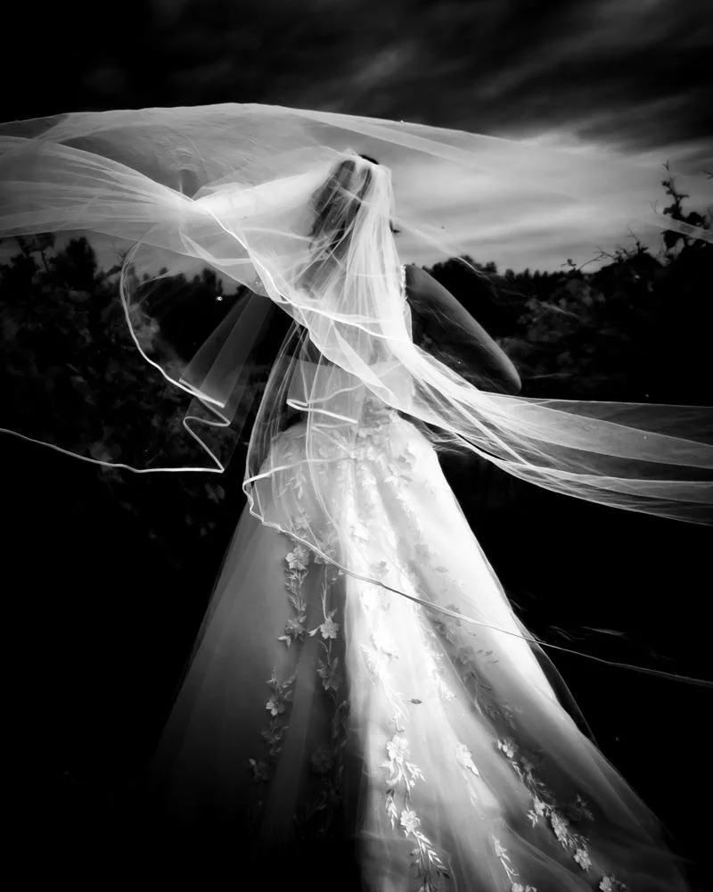 Black and white photo of a bride wearing a wedding gown and veil, holding a translucent umbrella outdoors against a cloudy sky.