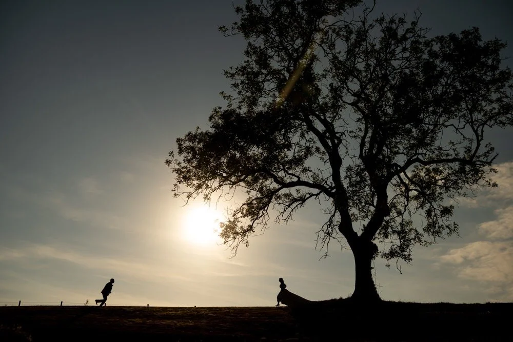 Silhouette of a person walking and a person sitting under a large tree during sunset or sunrise.