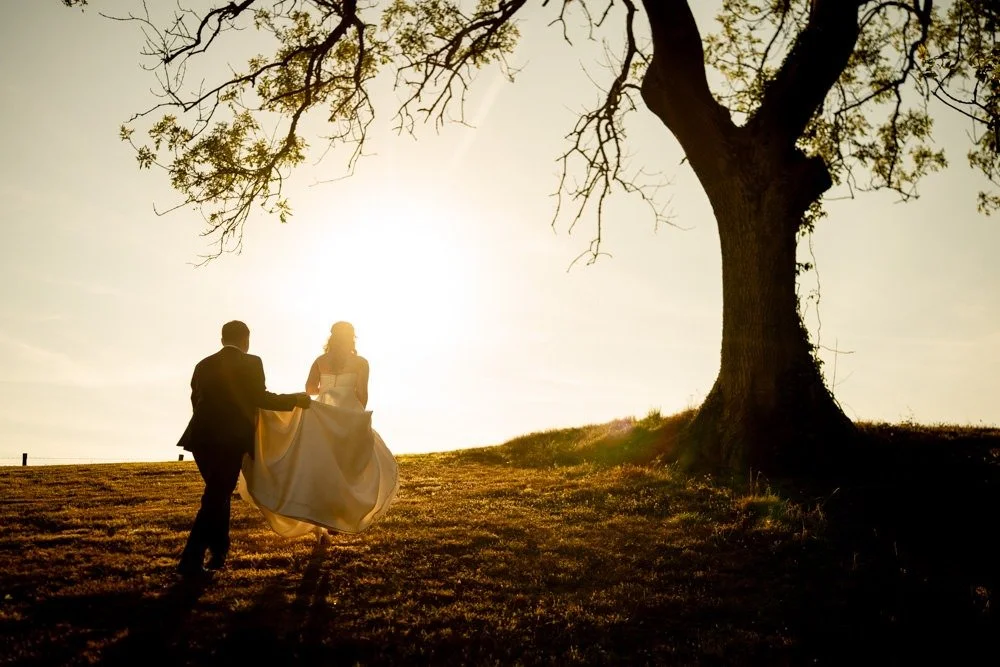 A couple, dressed in wedding attire, walking hand in hand under a large tree at sunset.
