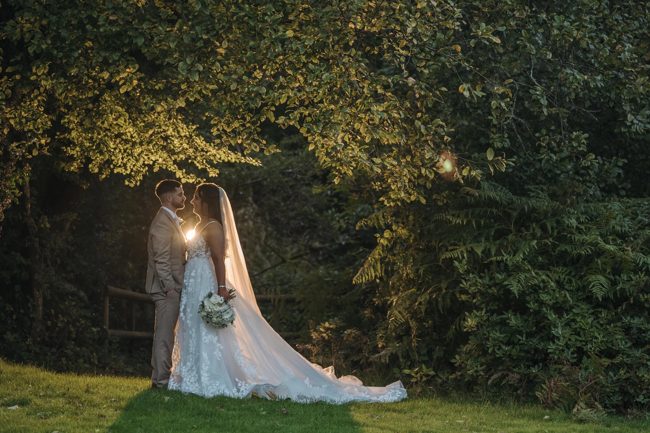 How to Get Sharp Images Every Time: A Professional Technical Guide