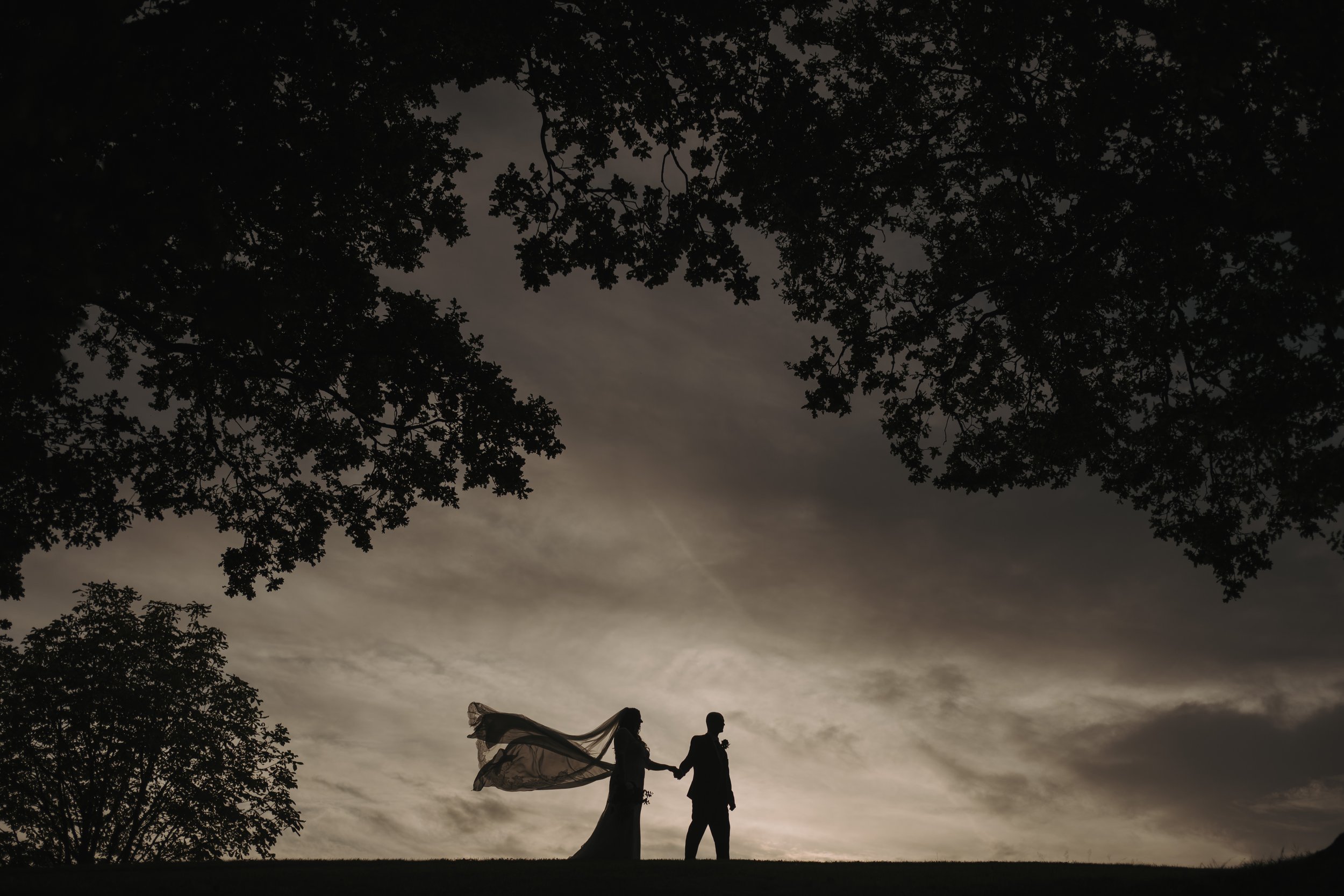 Professional Wedding Photography and Videography Training: Elevating Your Craft in 2026