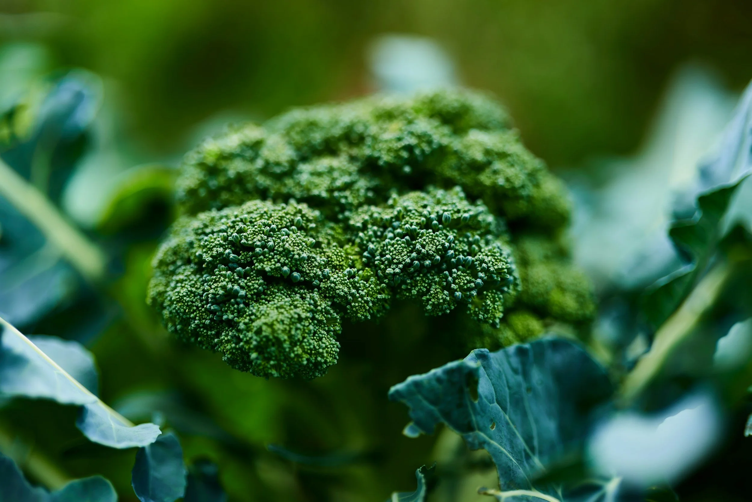 My 3 Top Tips for Health Improvements