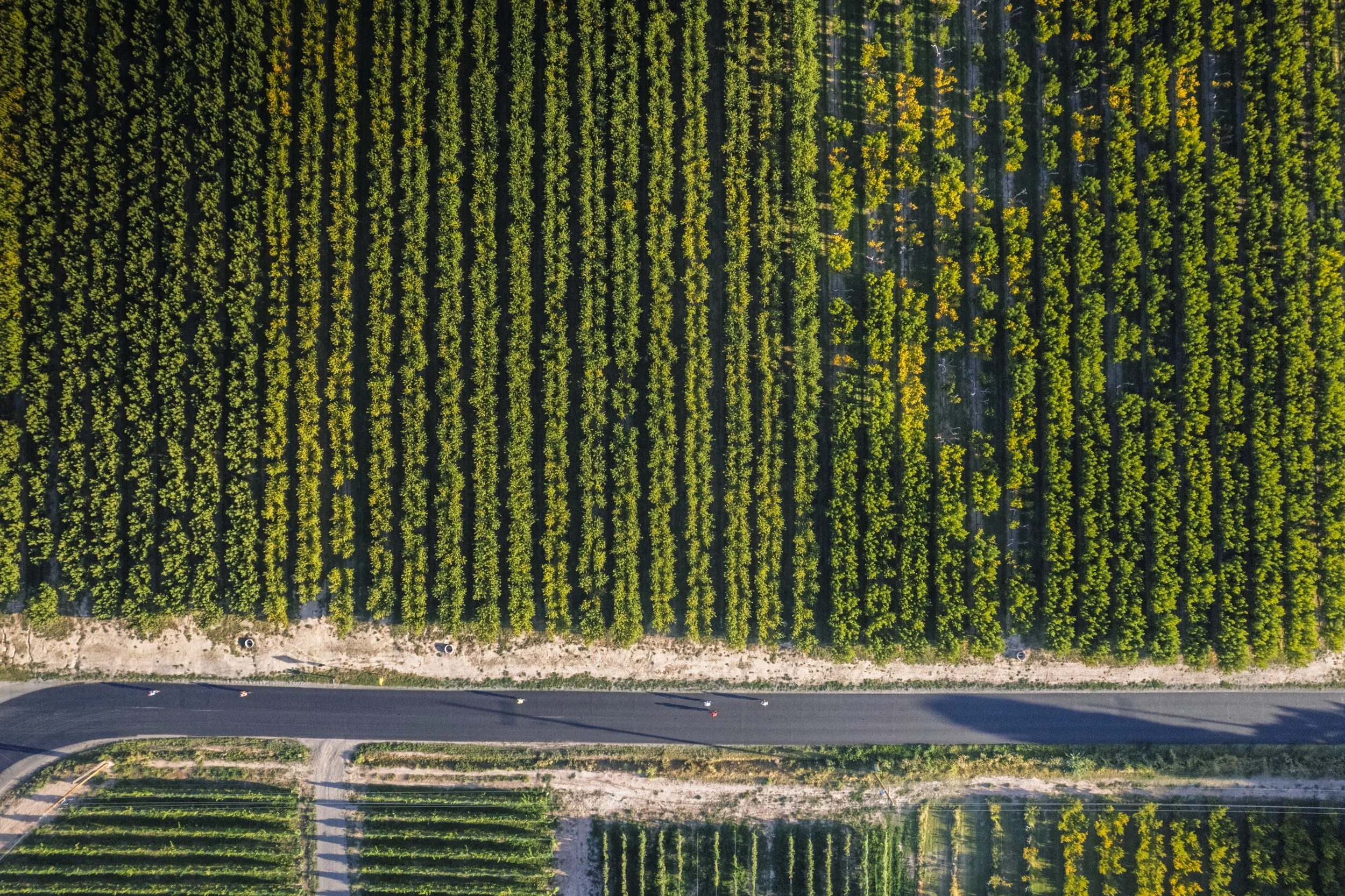 TDV 2025 - Full Resolution - Desert Digital Creative-0938.jpg