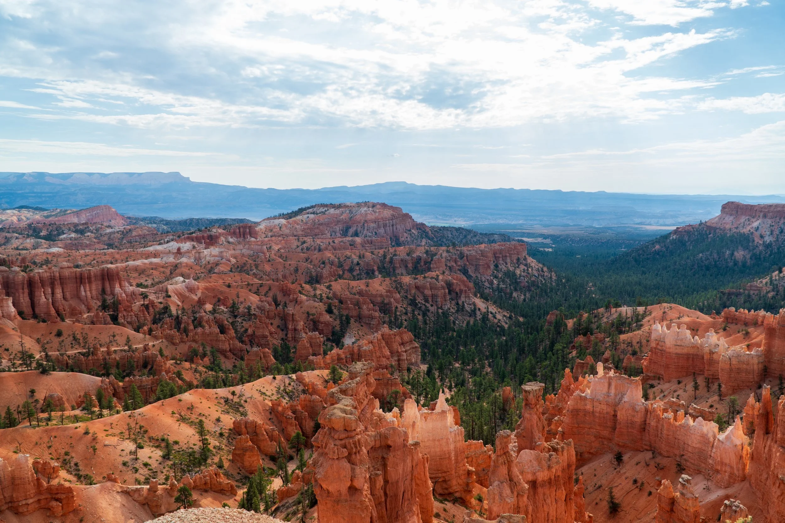 RoadTrip_Summer_25(BryceCanyon)-2.jpg