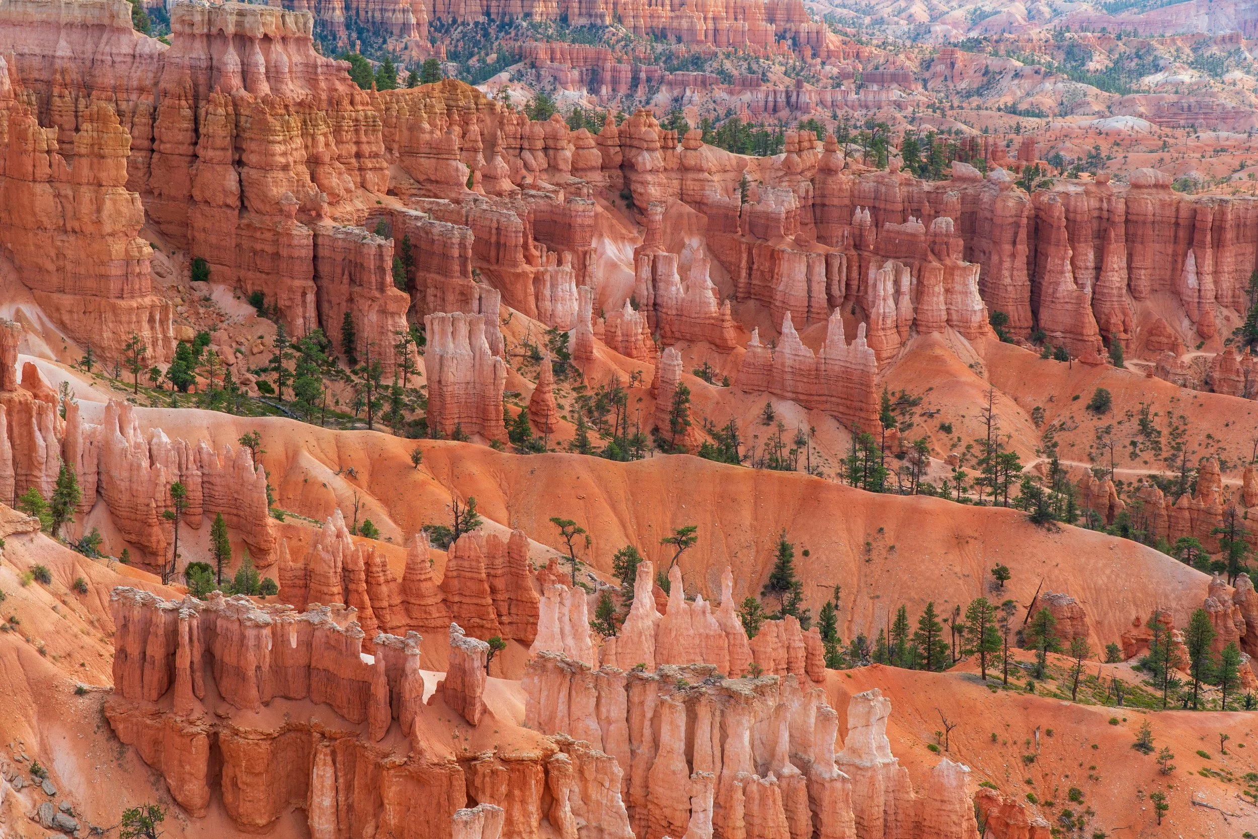 RoadTrip_Summer_25(BryceCanyon)-6.jpg