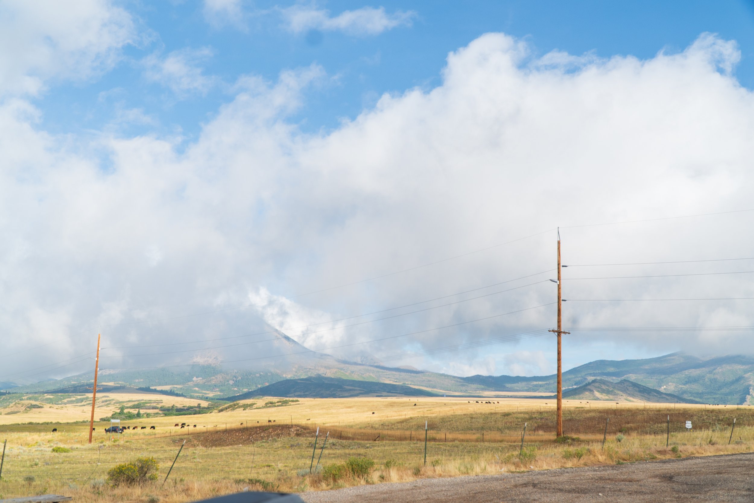 RoadTrip_Summer_25(GreatSandDunes)-1.jpg