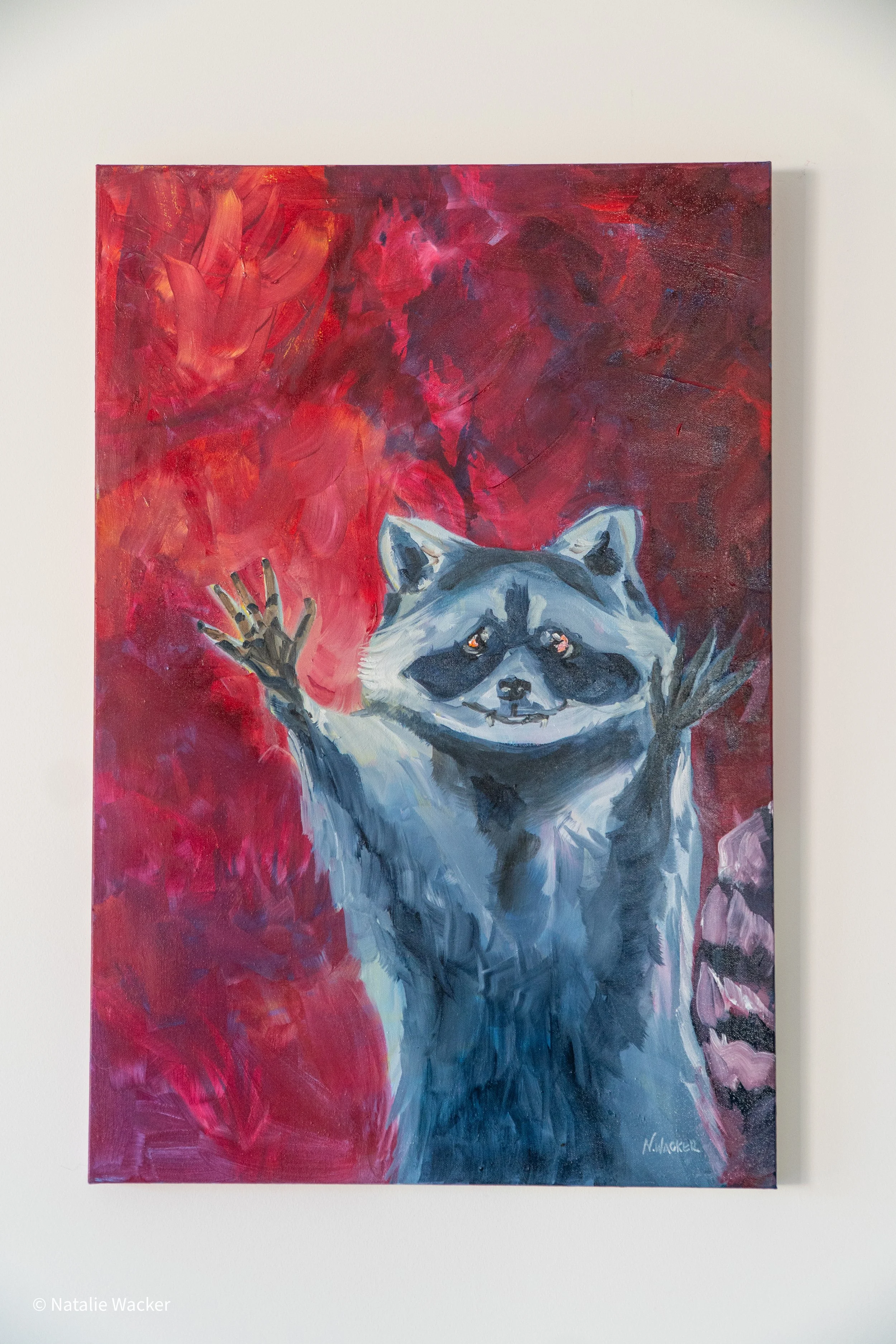 Raccoons in Red