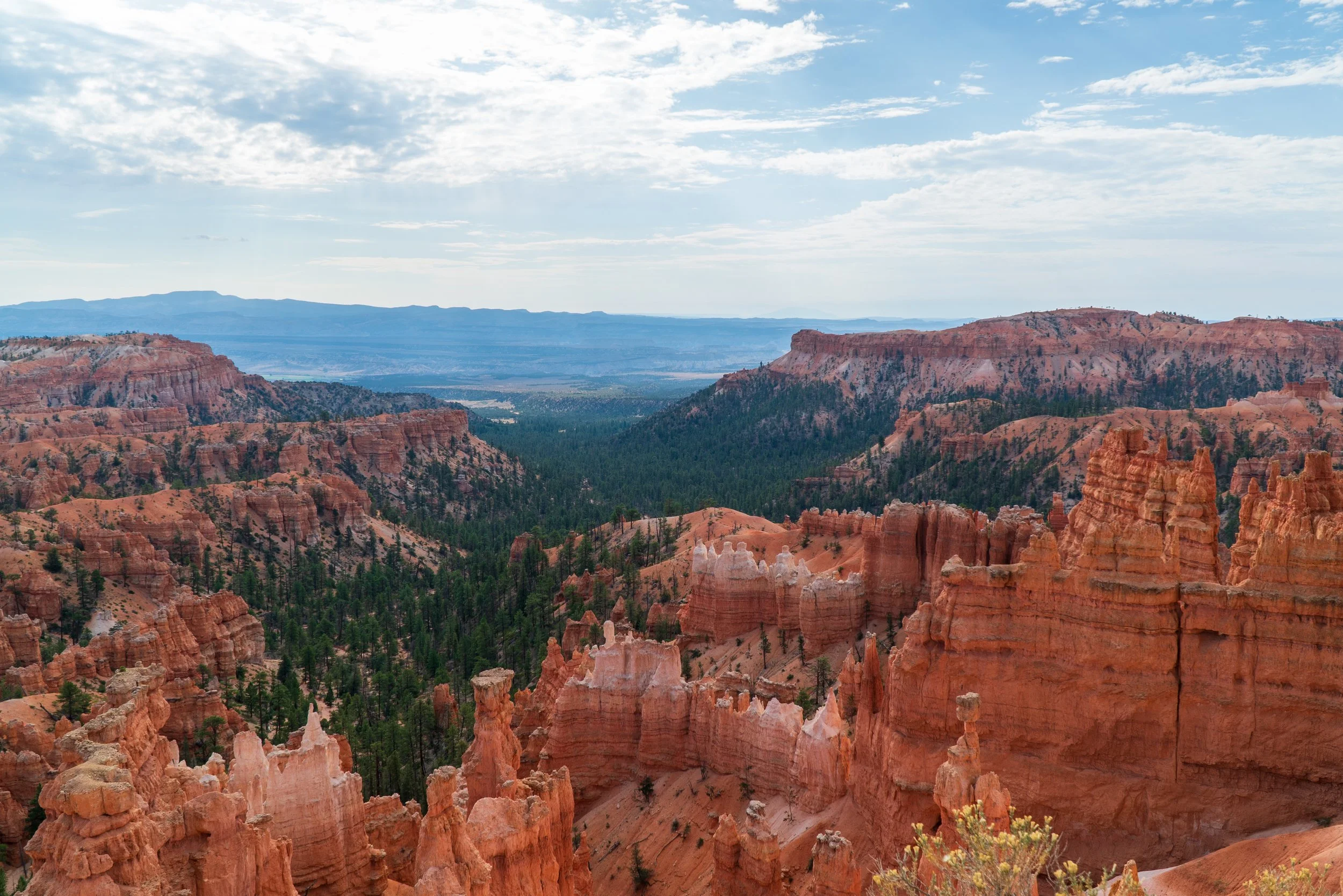 RoadTrip_Summer_25(BryceCanyon)-10.jpg