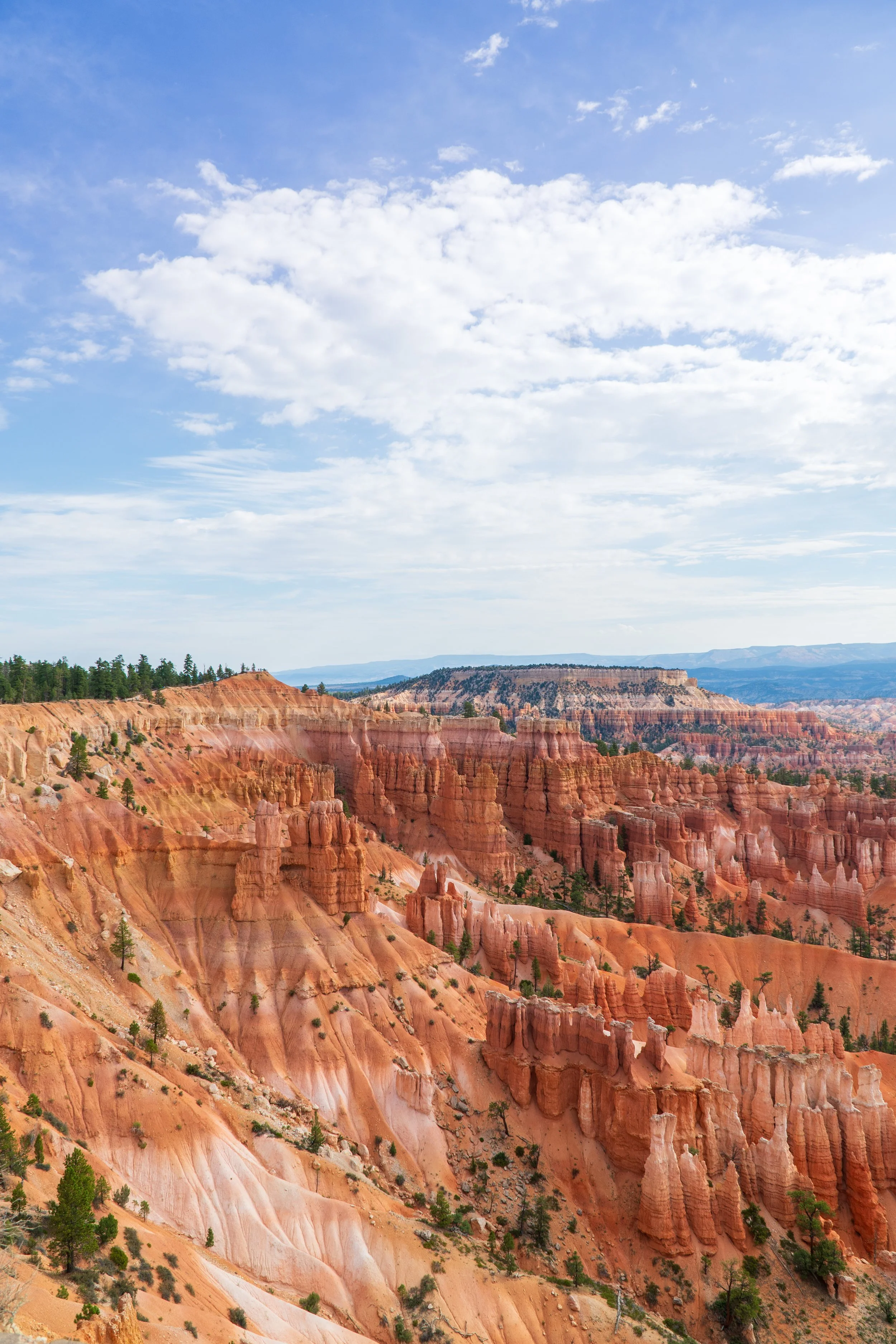 RoadTrip_Summer_25(BryceCanyon)-4.jpg