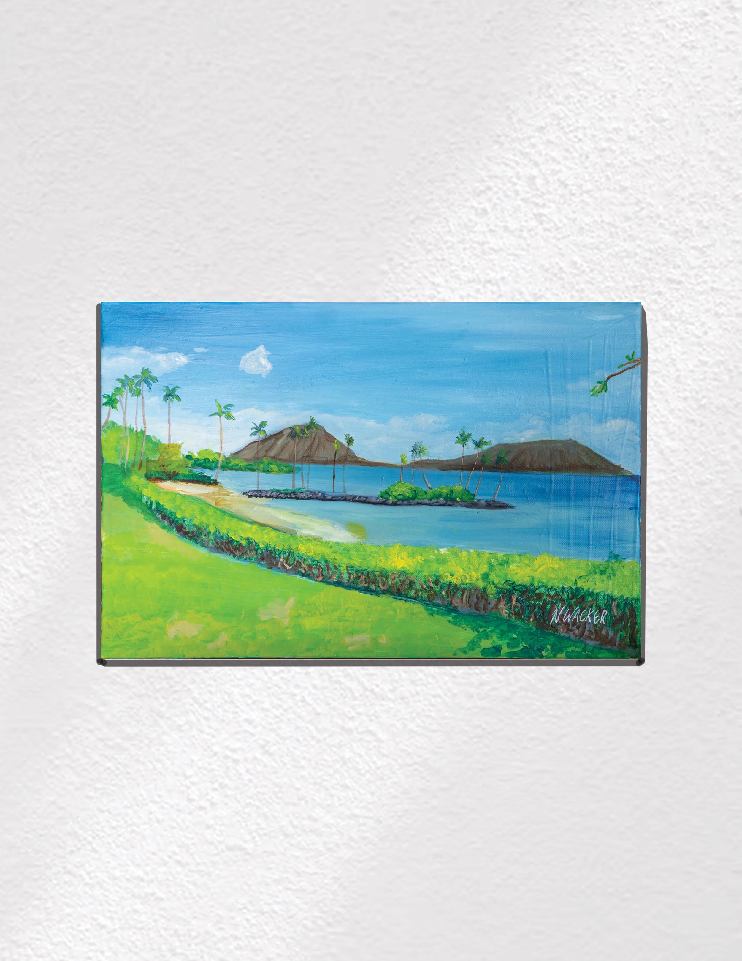 KahalaBeach_WhiteBackground.jpg