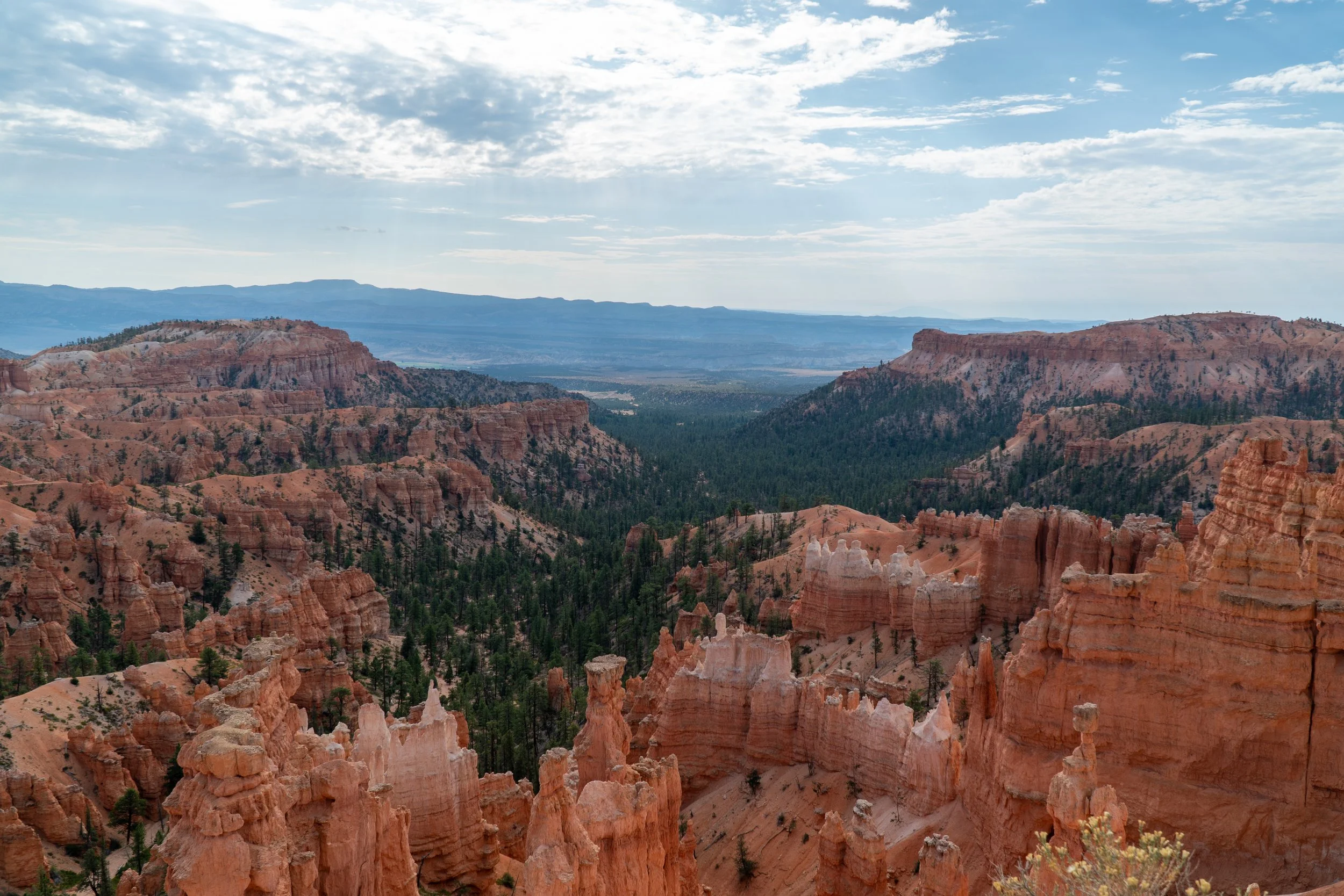 RoadTrip_Summer_25(BryceCanyon)-9.jpg