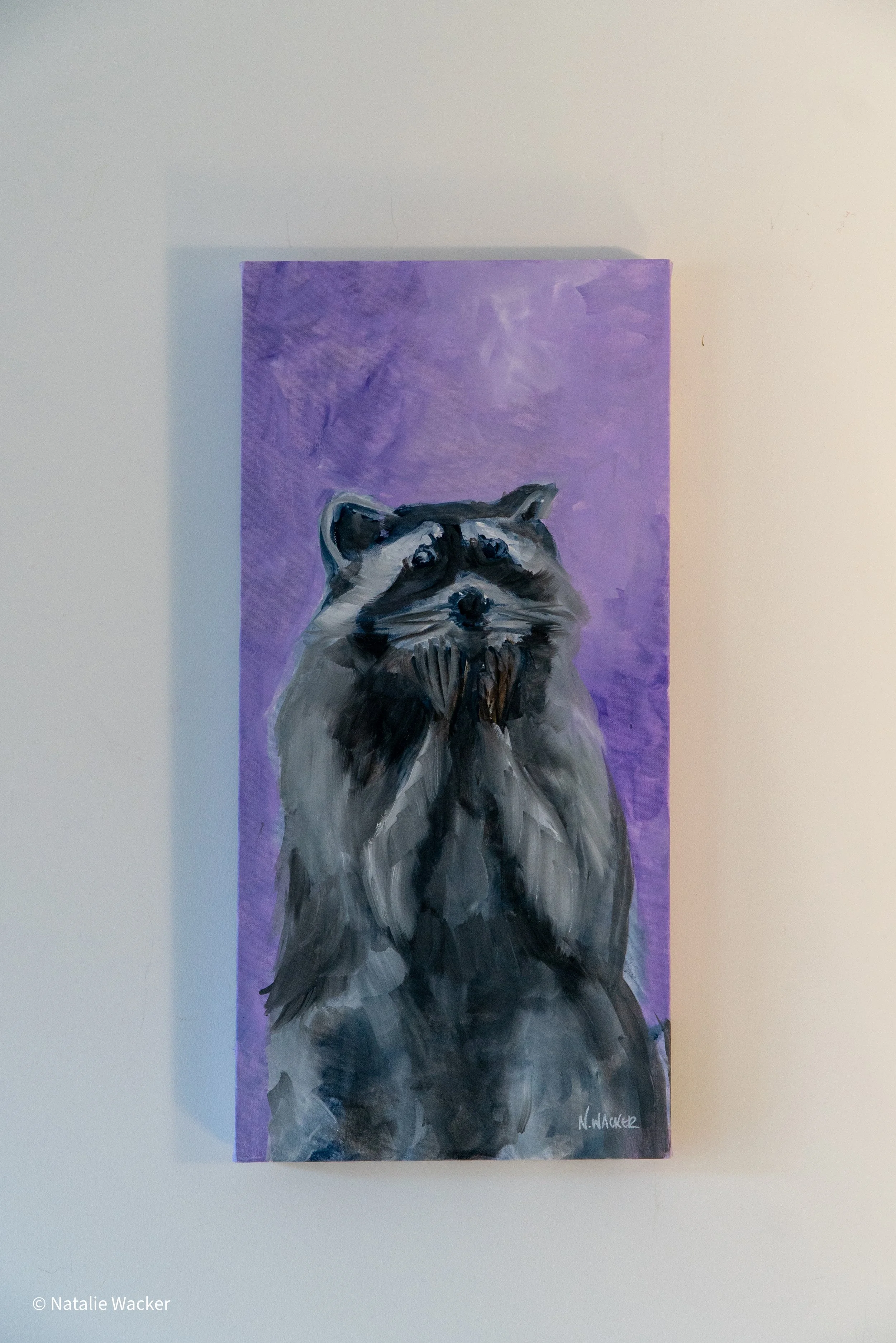 RaccoonsLovePurp.jpg