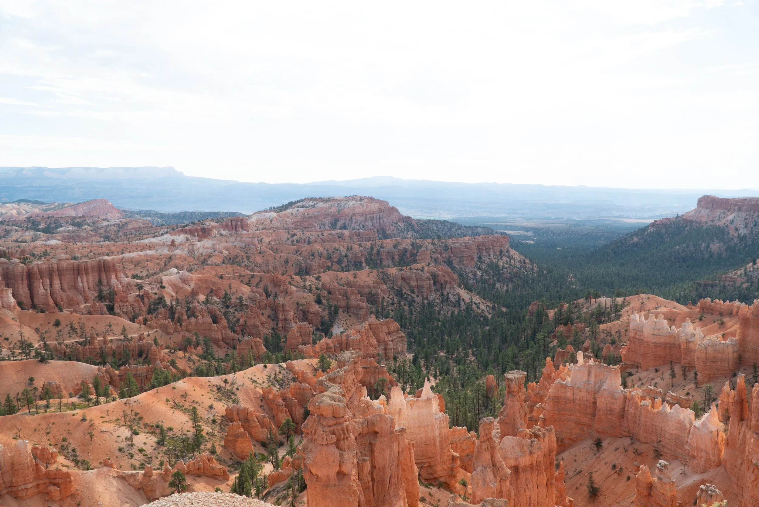 RoadTrip_Summer_25(BryceCanyon)-1.jpg