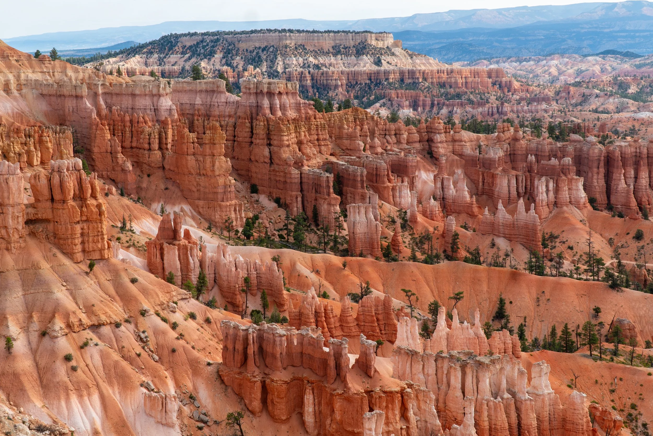 RoadTrip_Summer_25(BryceCanyon)-5.jpg