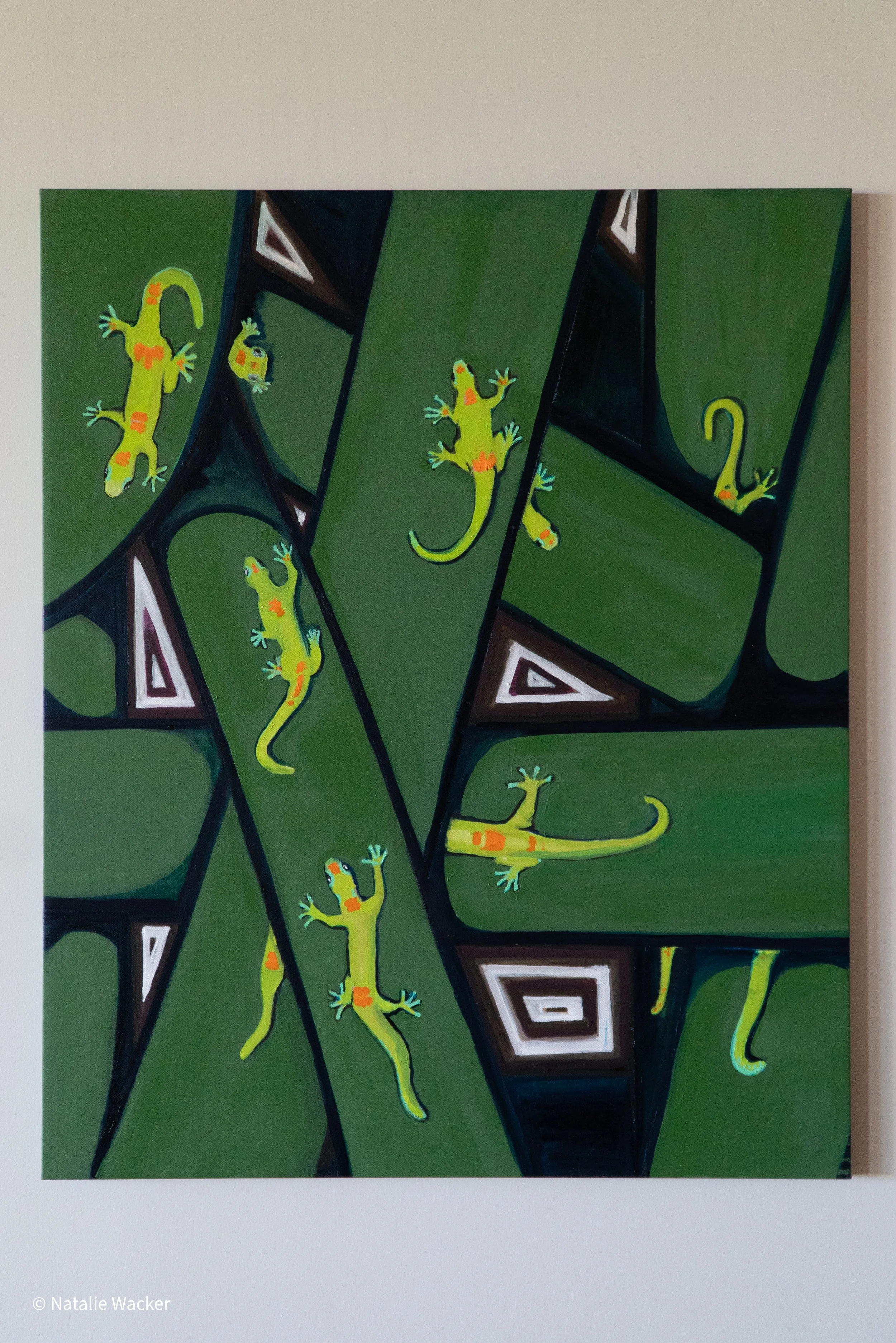 Geckos Groove-1.jpg
