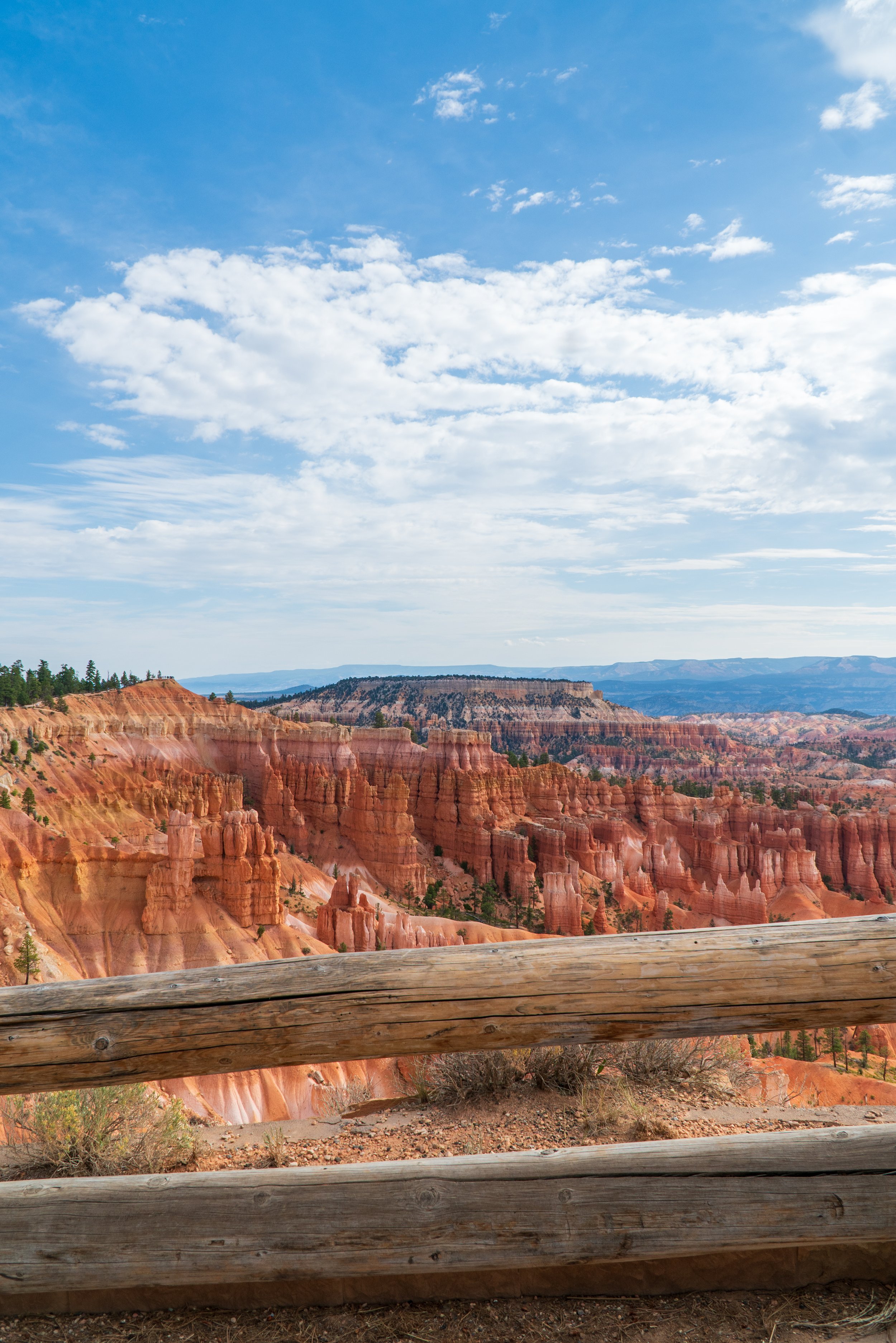 RoadTrip_Summer_25(BryceCanyon).jpg