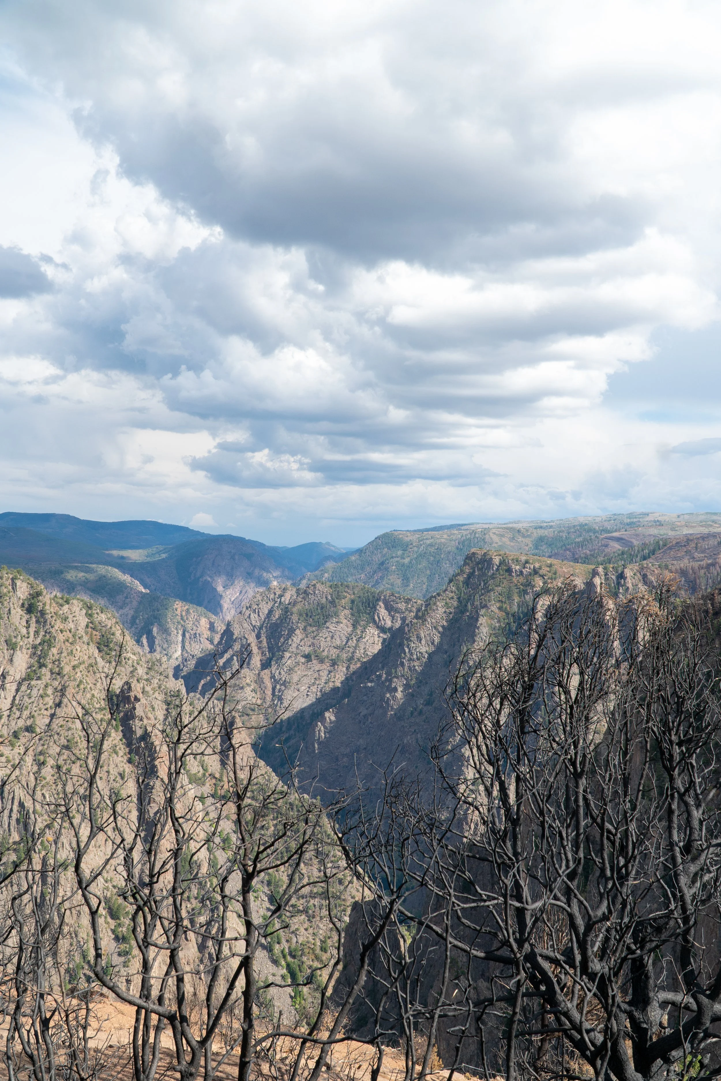 RoadTrip_Summer_25(BlackCanyon)-1.jpg
