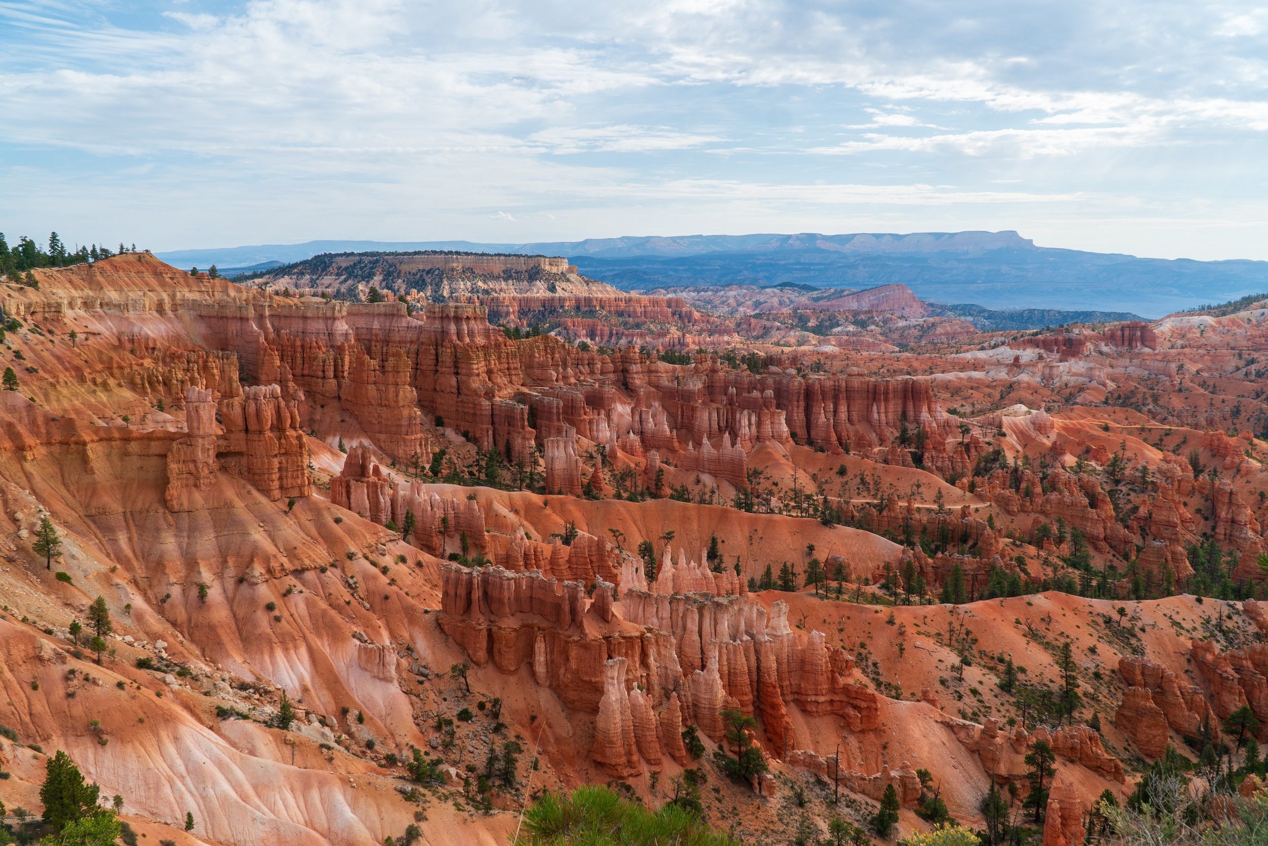 RoadTrip_Summer_25(BryceCanyon)-11.jpg
