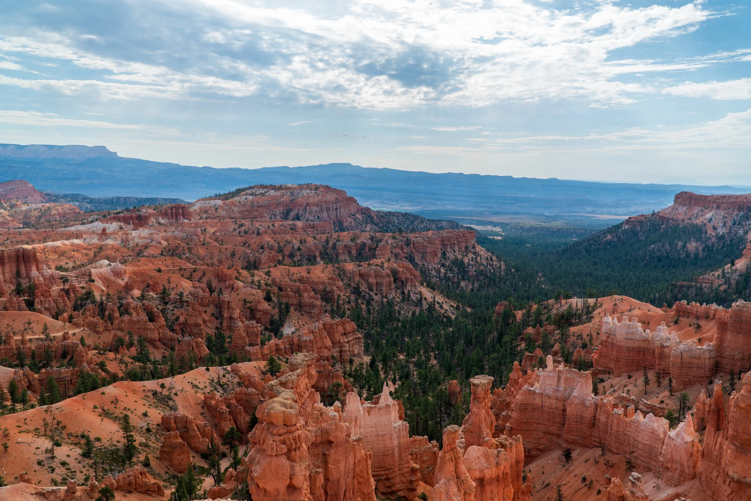 RoadTrip_Summer_25(BryceCanyon)-8.jpg