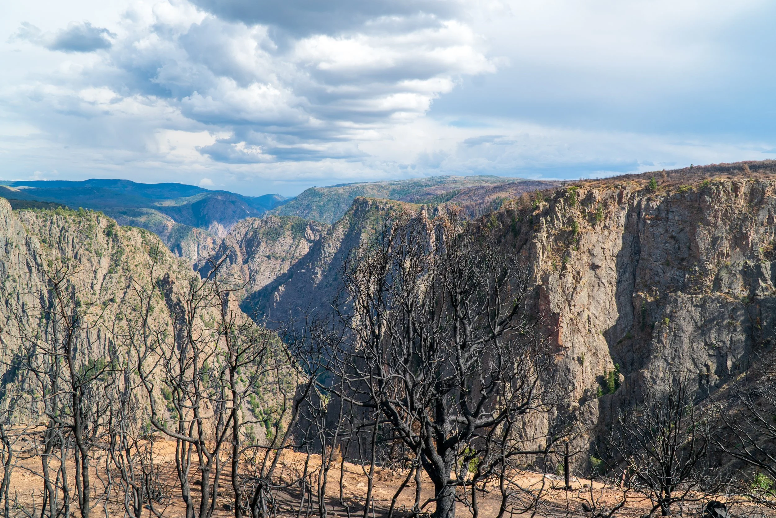 RoadTrip_Summer_25(BlackCanyon)-6.jpg
