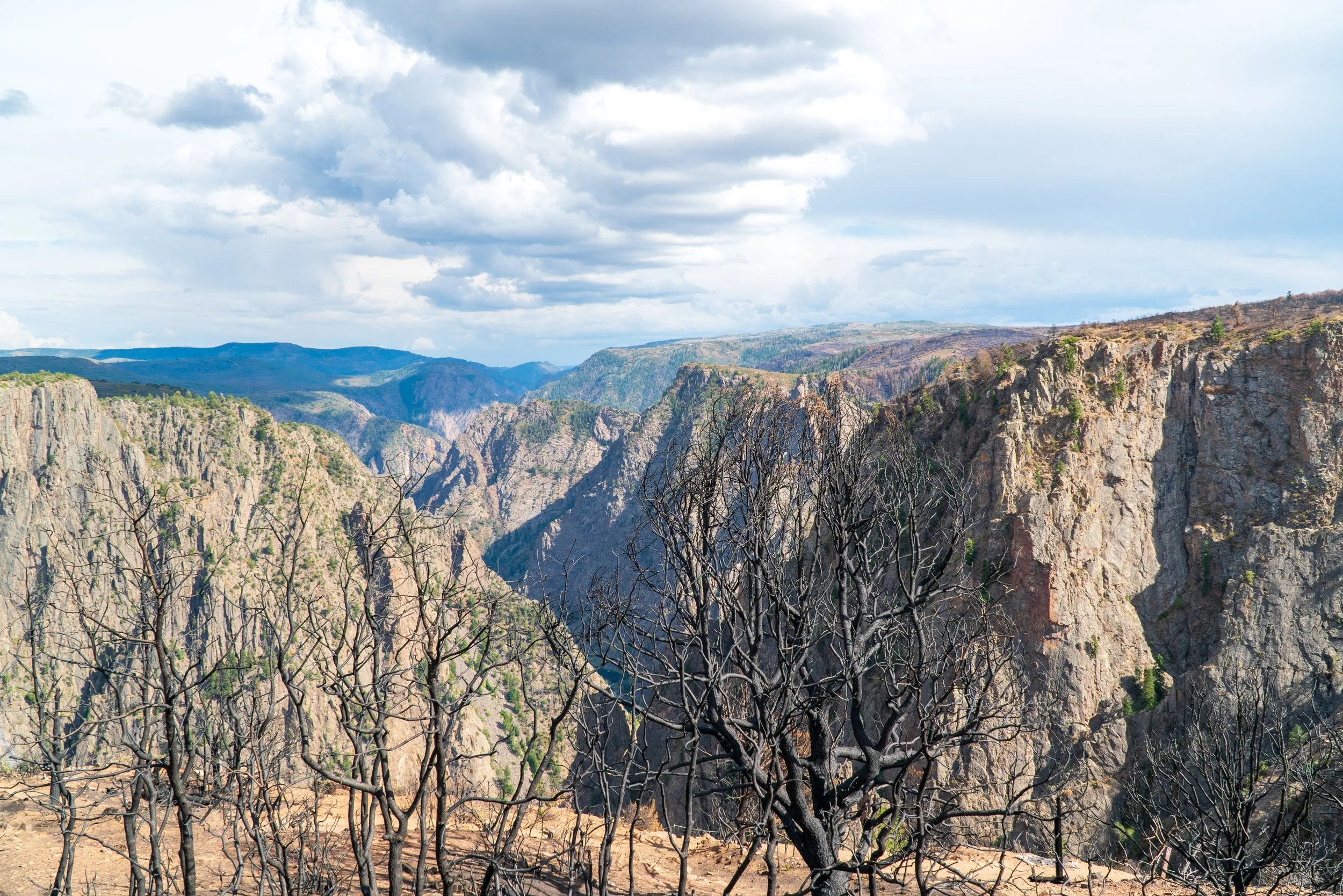RoadTrip_Summer_25(BlackCanyon)-4.jpg