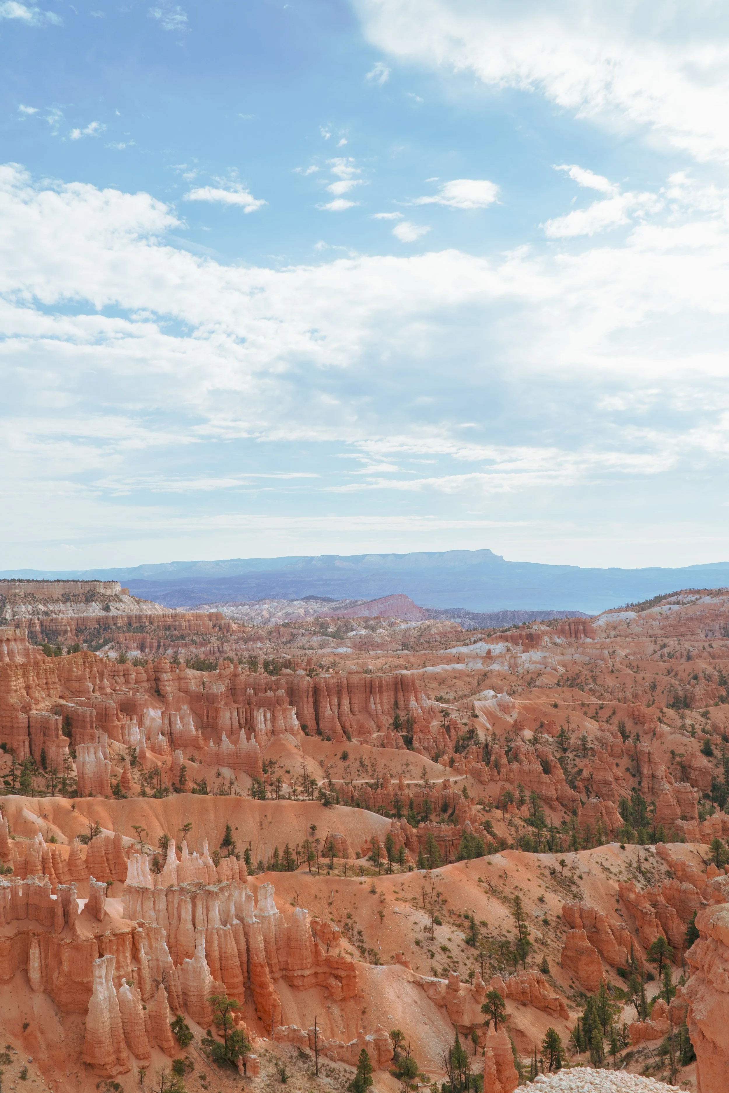 RoadTrip_Summer_25(BryceCanyon)-3.jpg