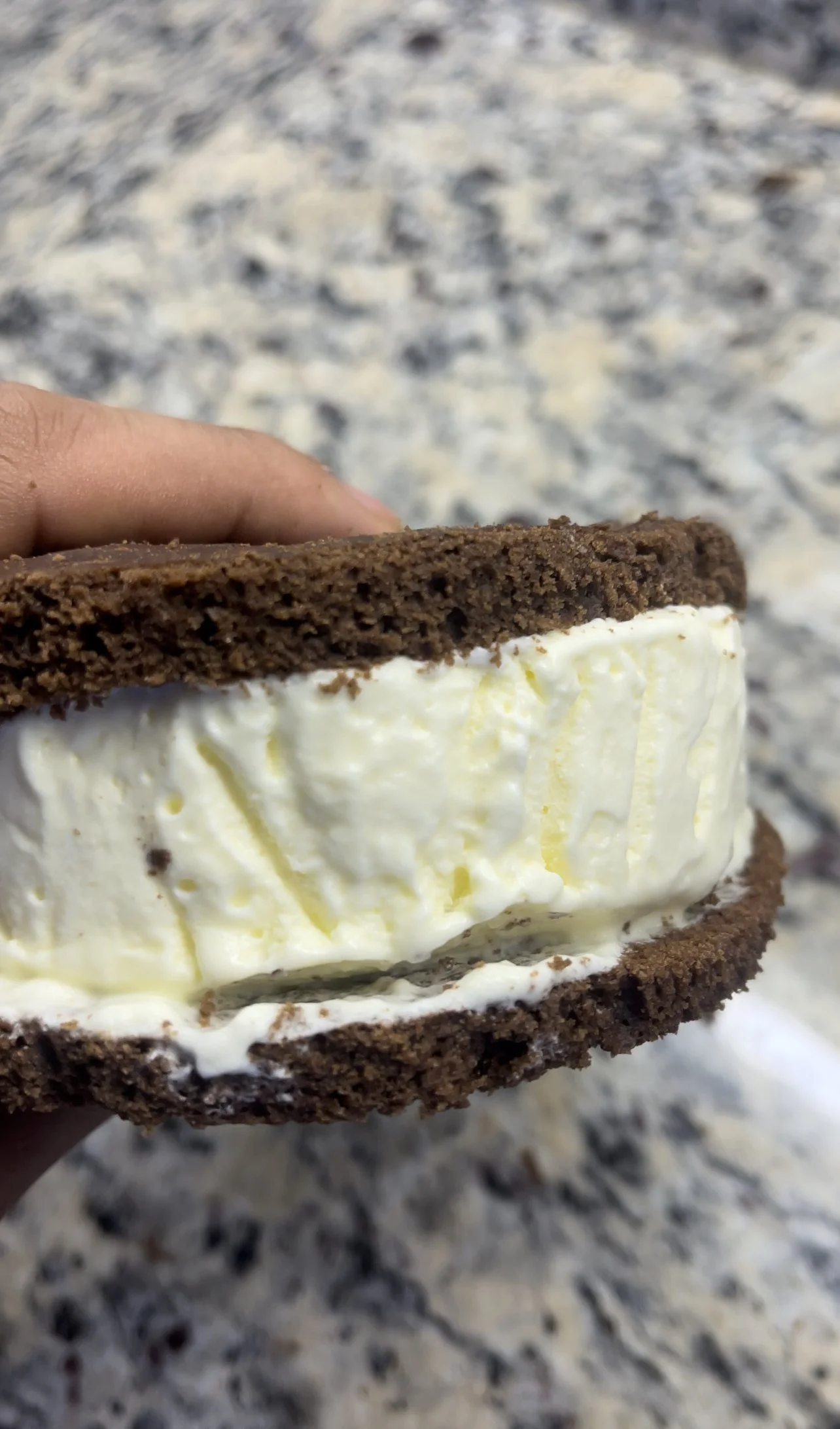 Ice Cream Sandwich