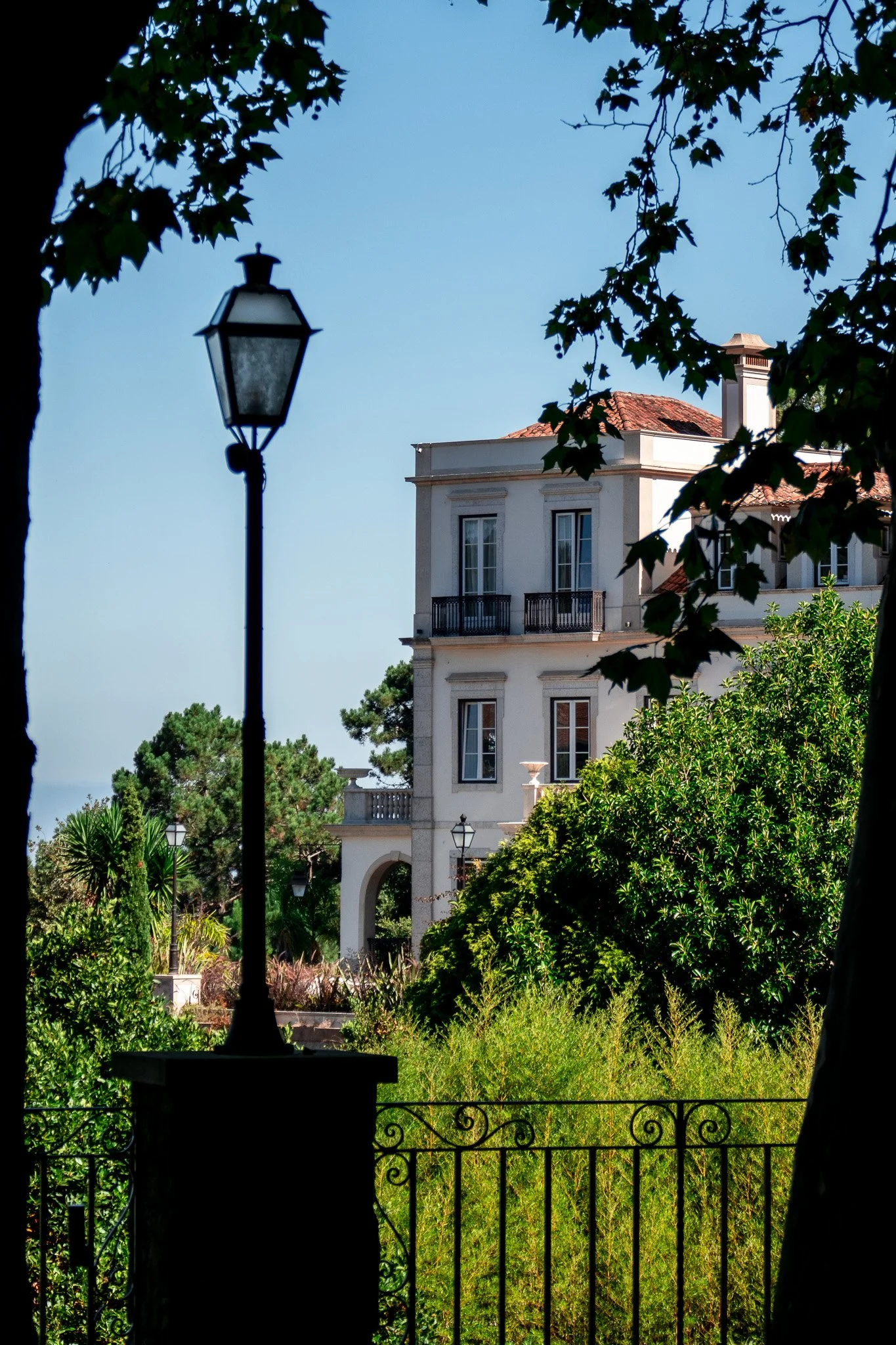 L1020719.jpg