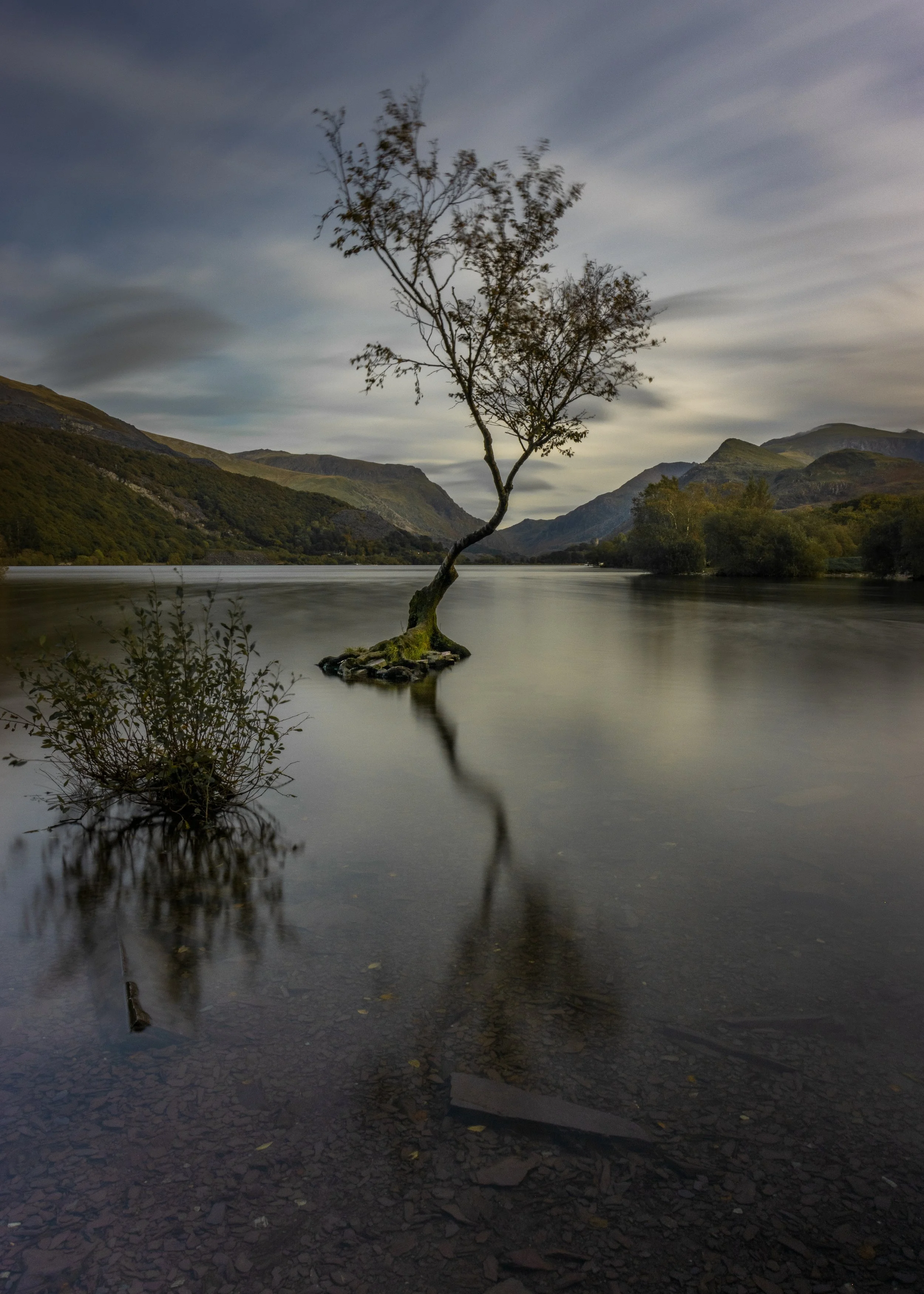 Lone Tree, Llyn Padarn, Long Exposure