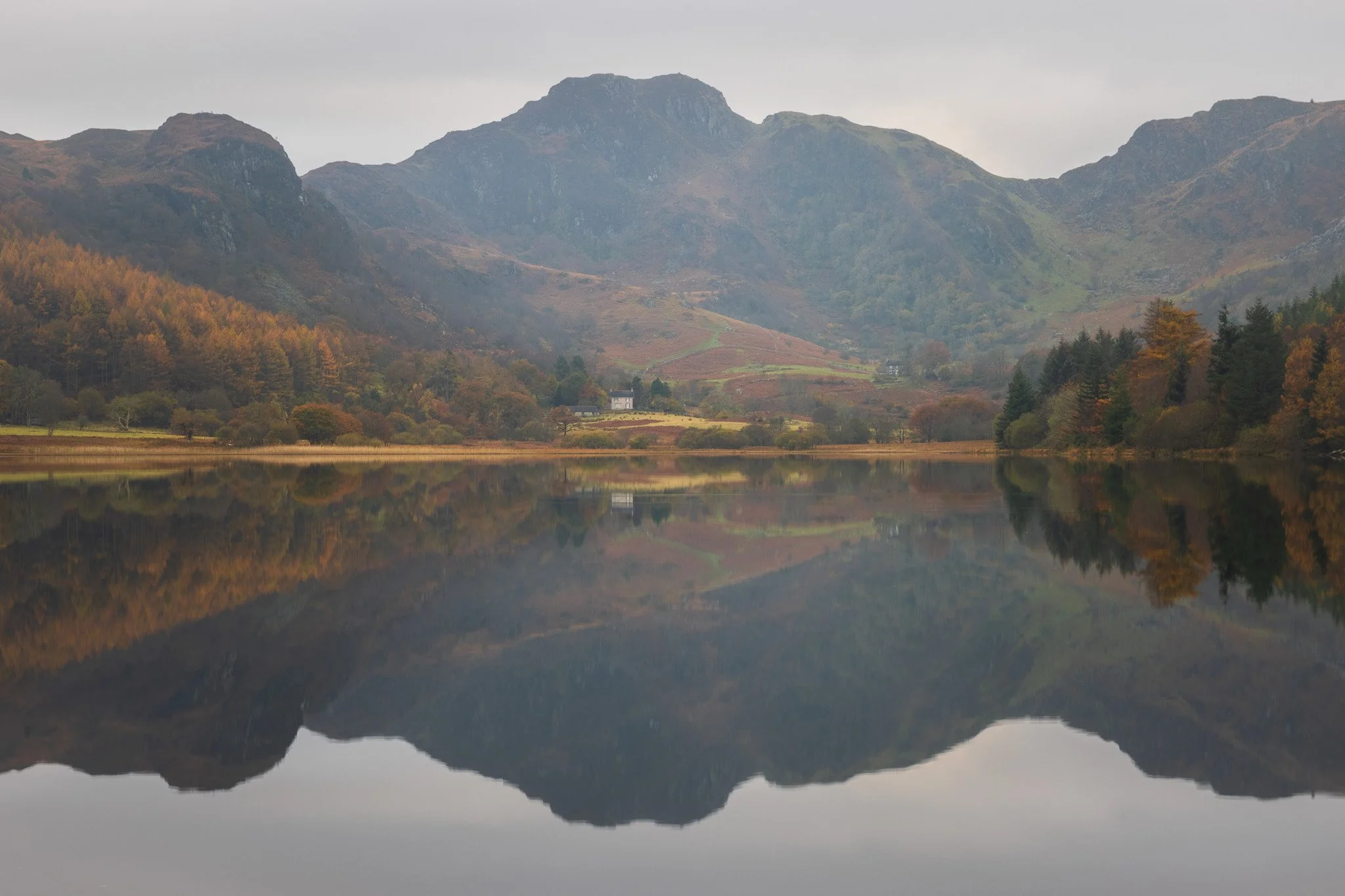 Llyn Crafnant Autumn Reflections