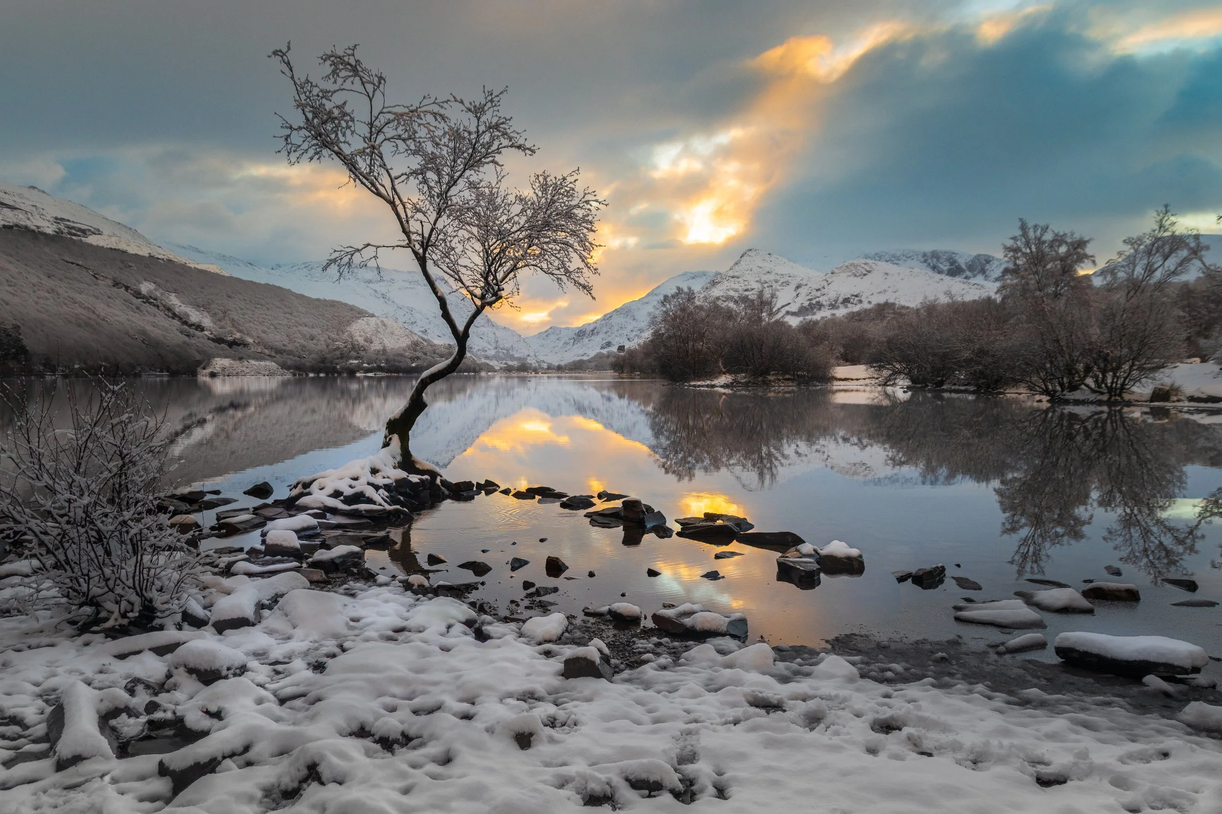 Snowy Sunrise, Lone Tree, Llanberis (Landscape)