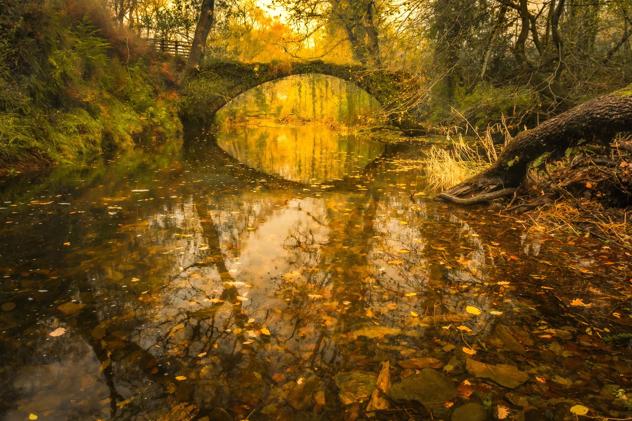 Ivy Bridge, Maentwrog 