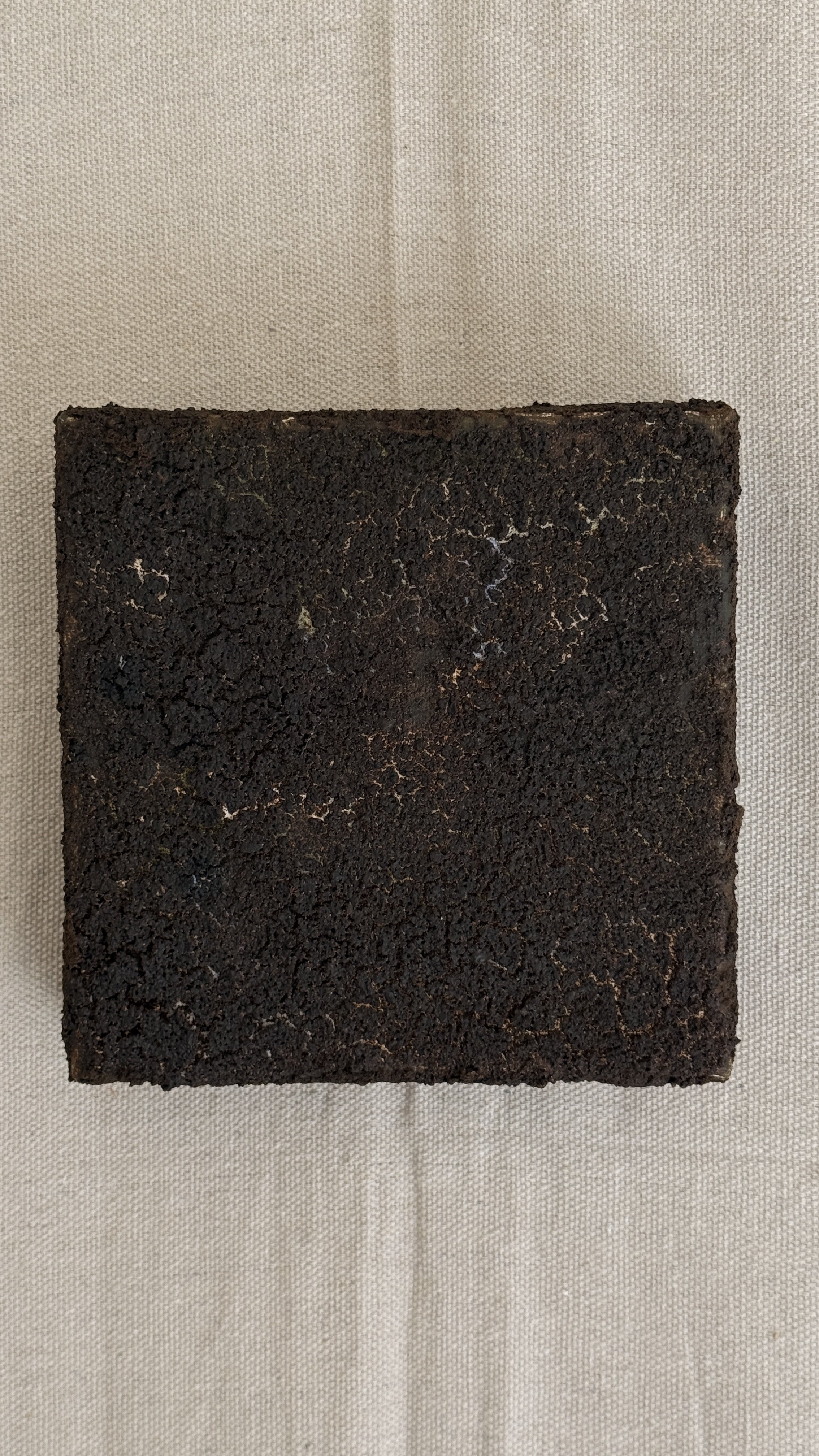 Small abstract artwork with a dense, cracked dark brown and black textured surface and faint pale veining, unframed 6x6 on linen