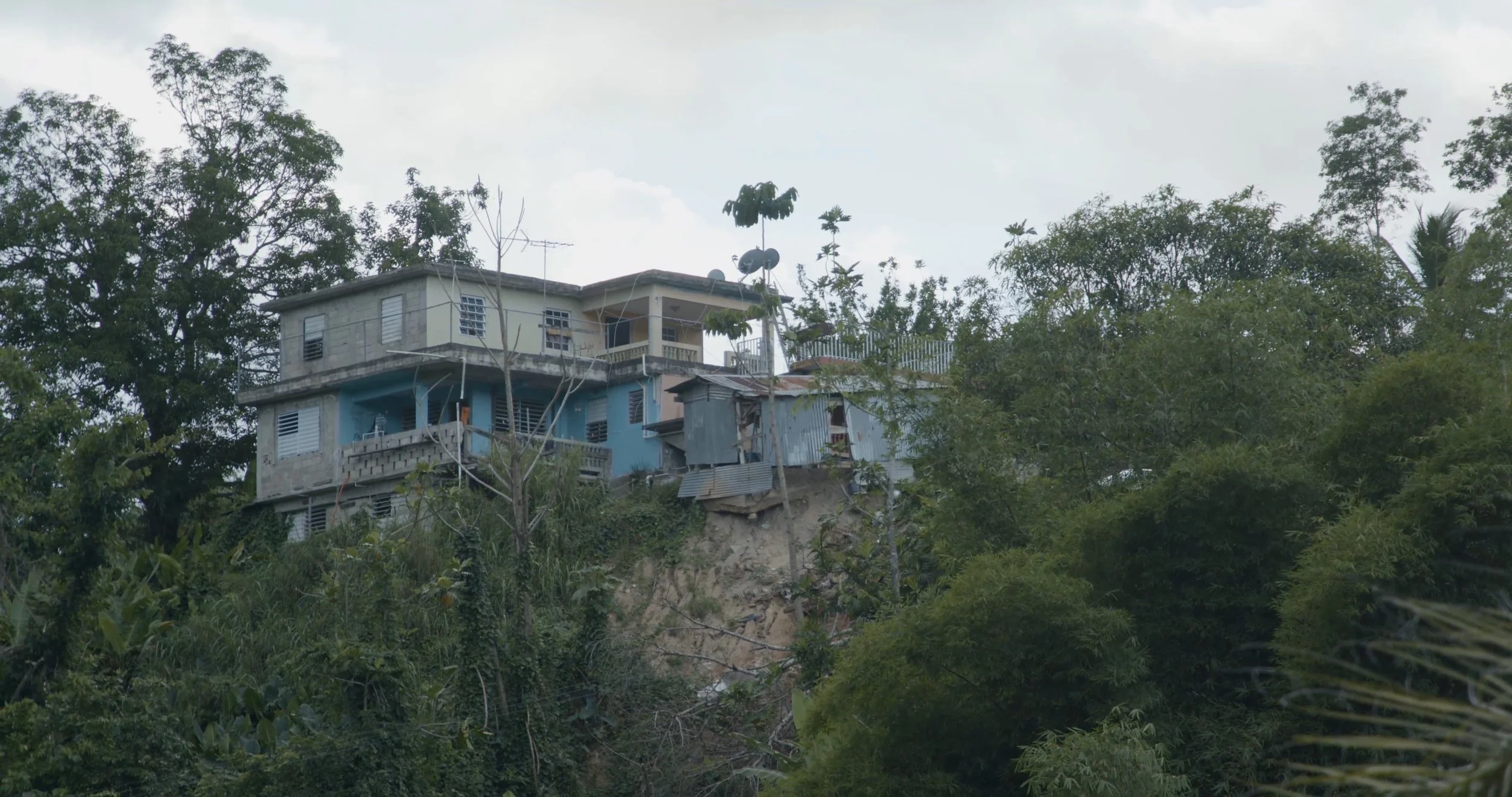 Hector's Home 5.jpg