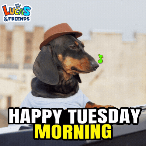 Taco Tuesday GIF by Lucas and Friends by RV AppStudios.gif