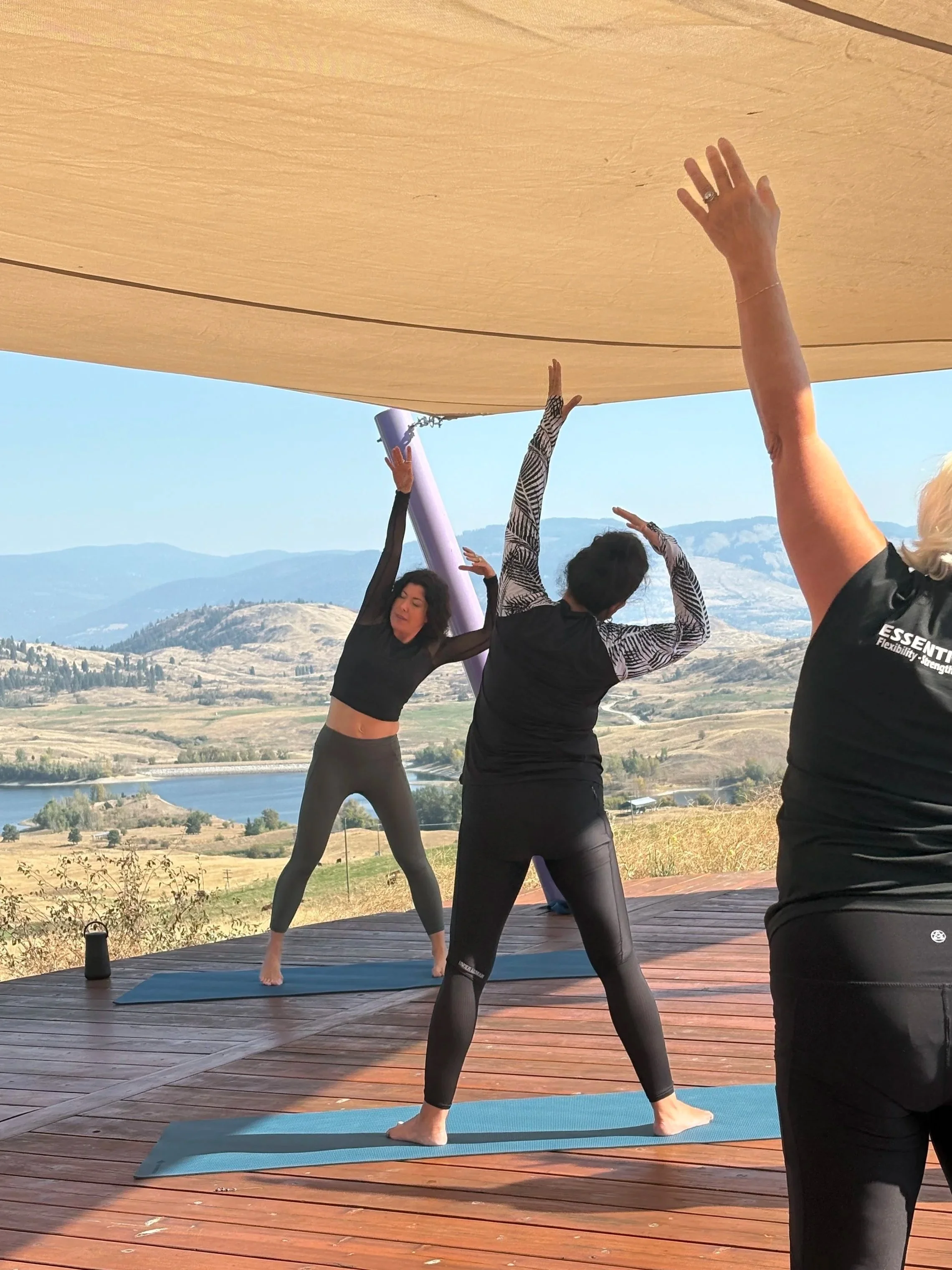 Meg+stretch+lavender.jpg