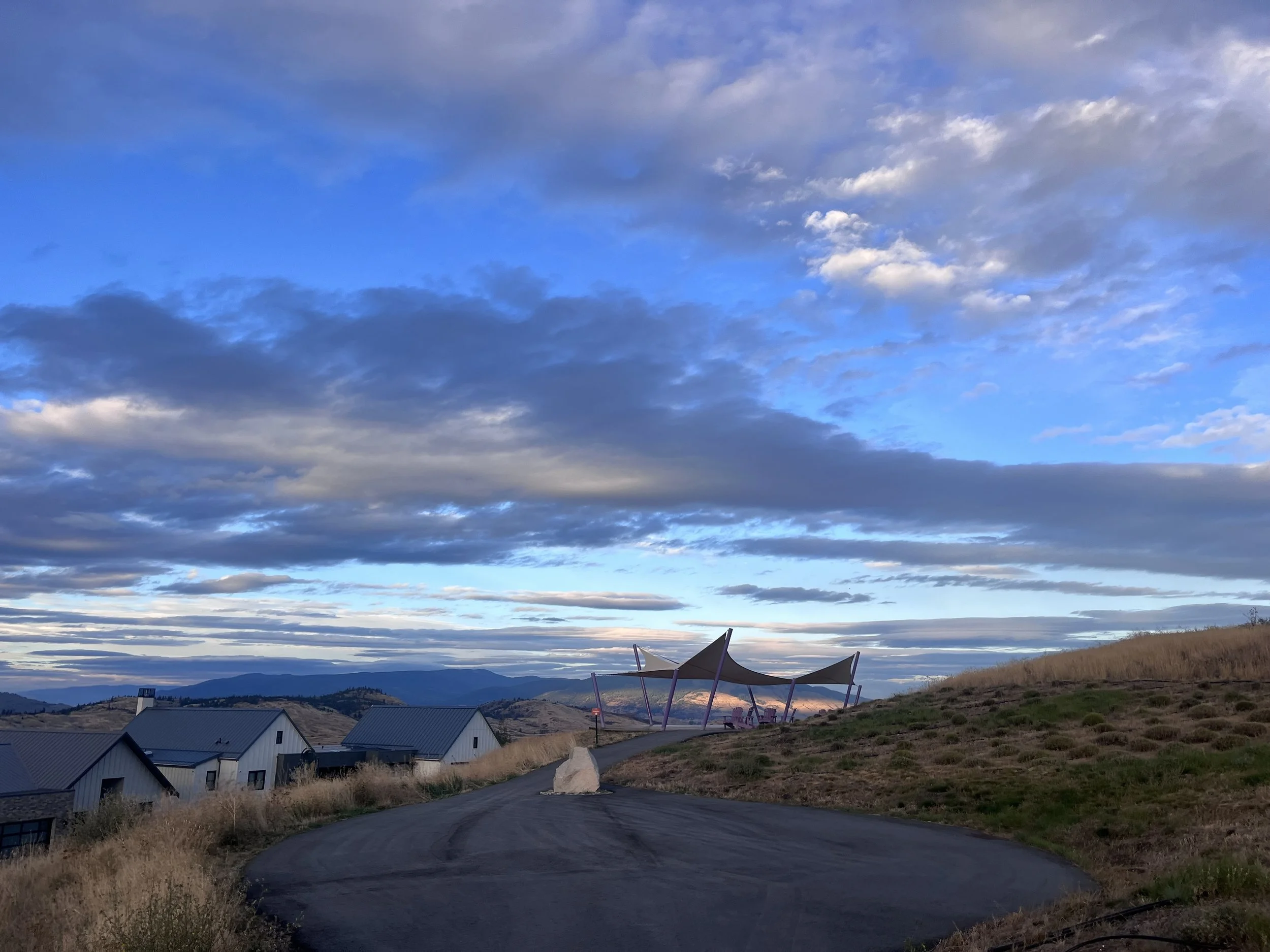 lavender platform.jpg