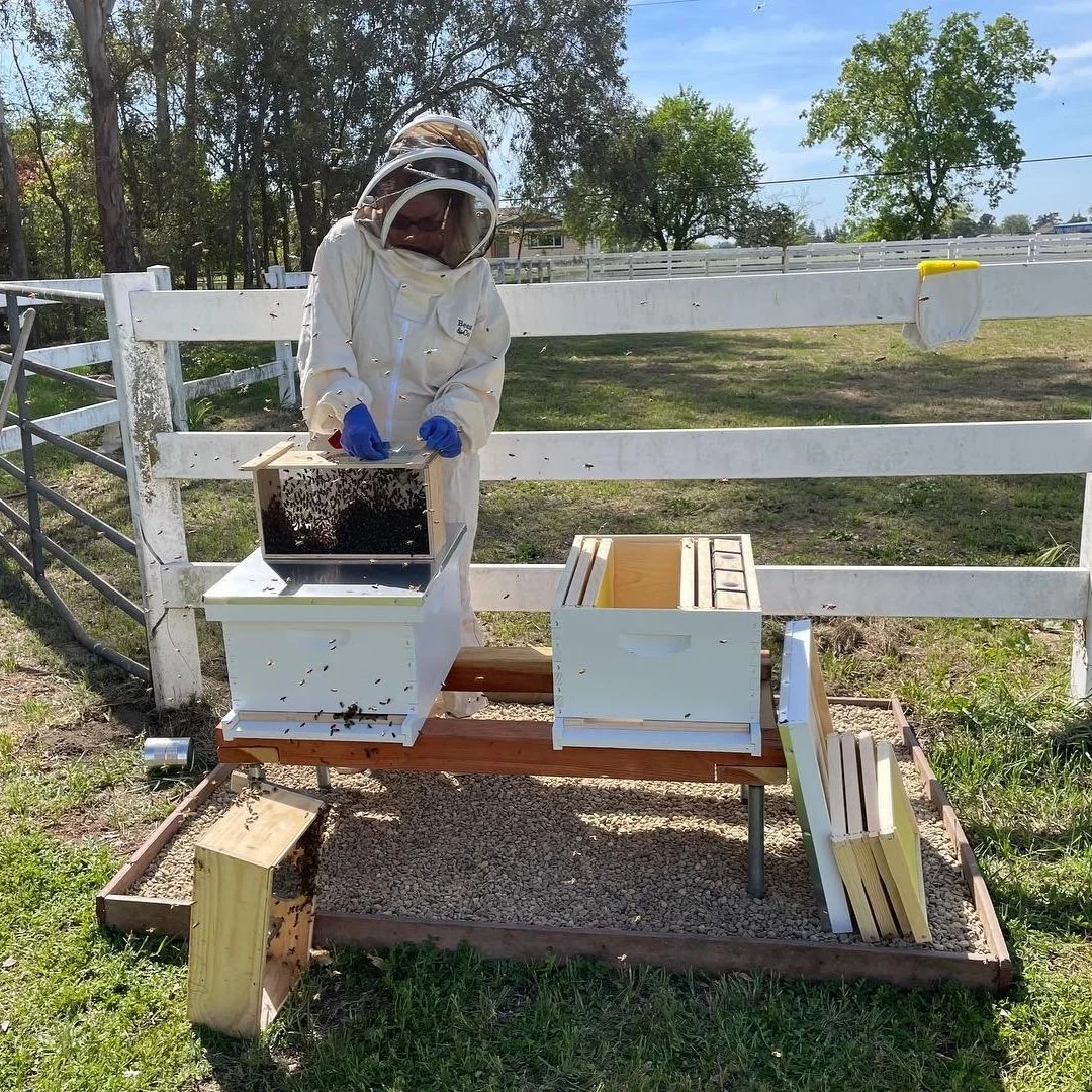 Products — Honey Bee