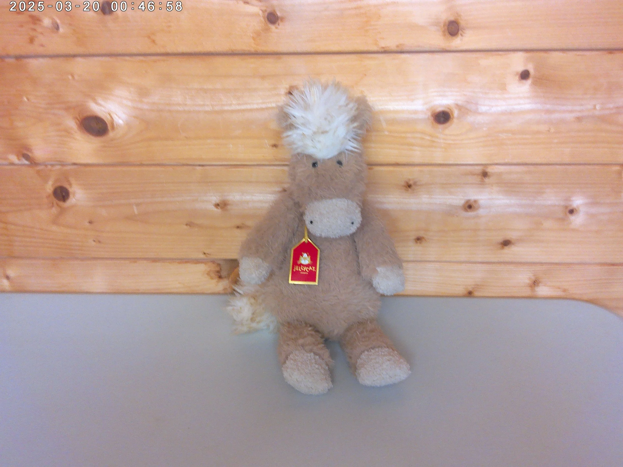 Pony - photo 1.jpg