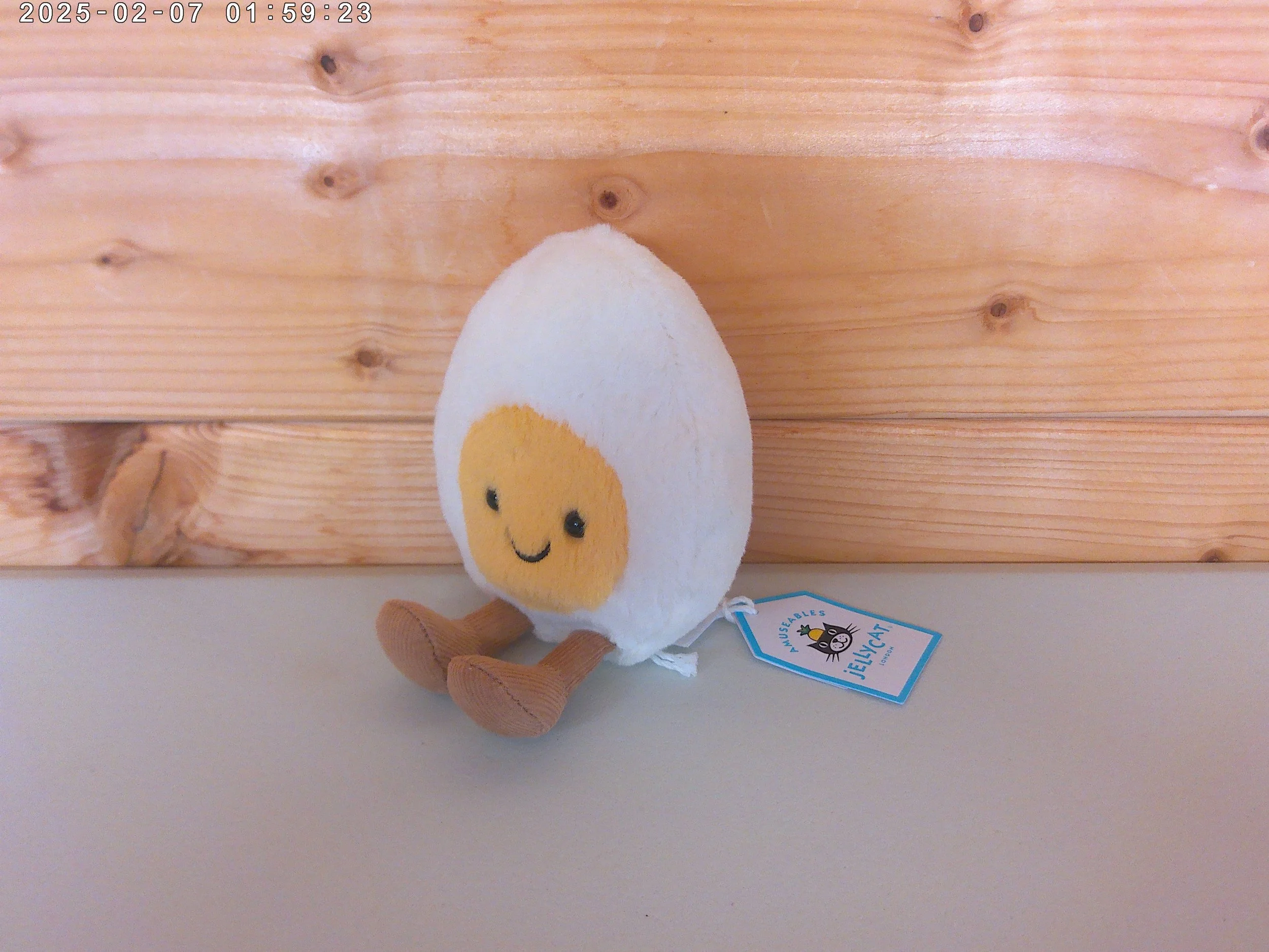 happy egg - photo 3.jpg