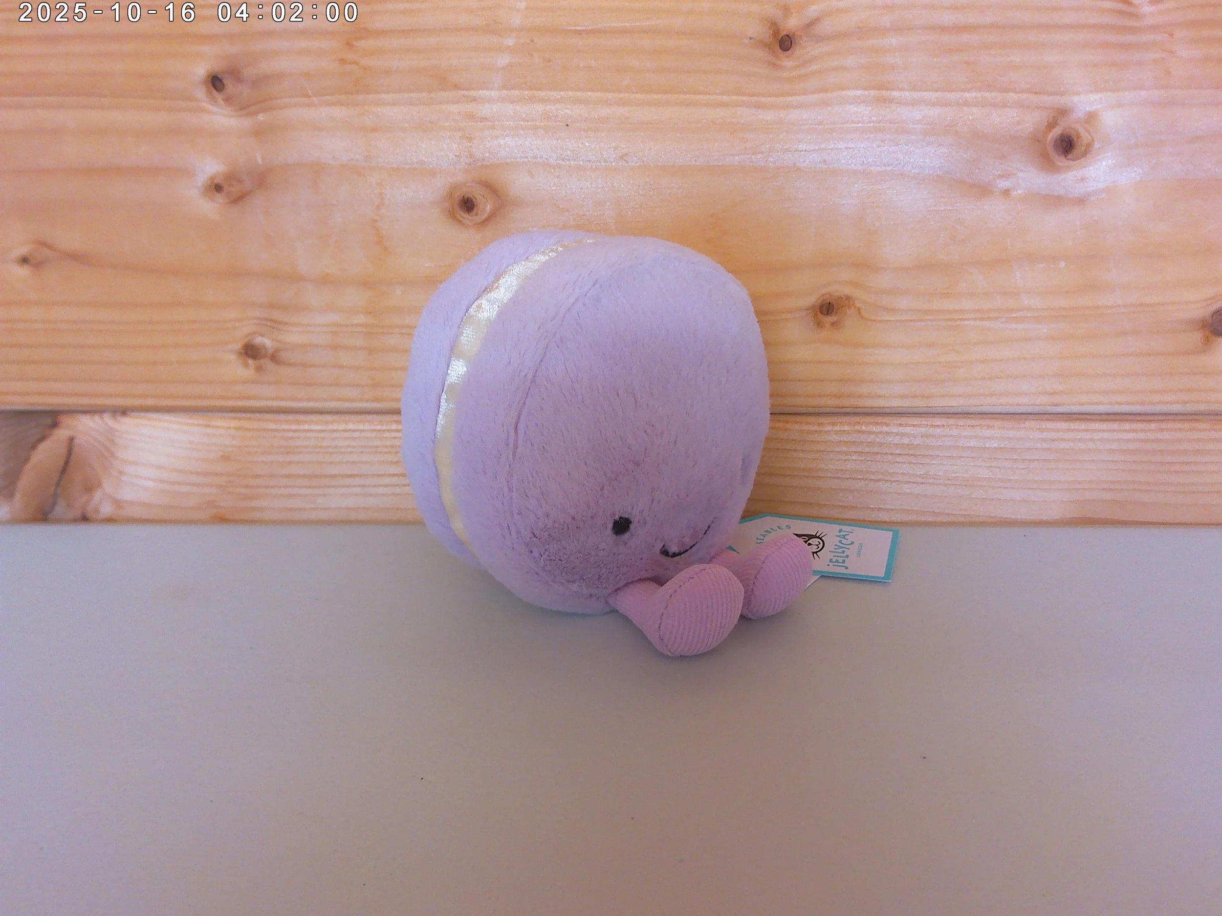 May - photo 3.jpg